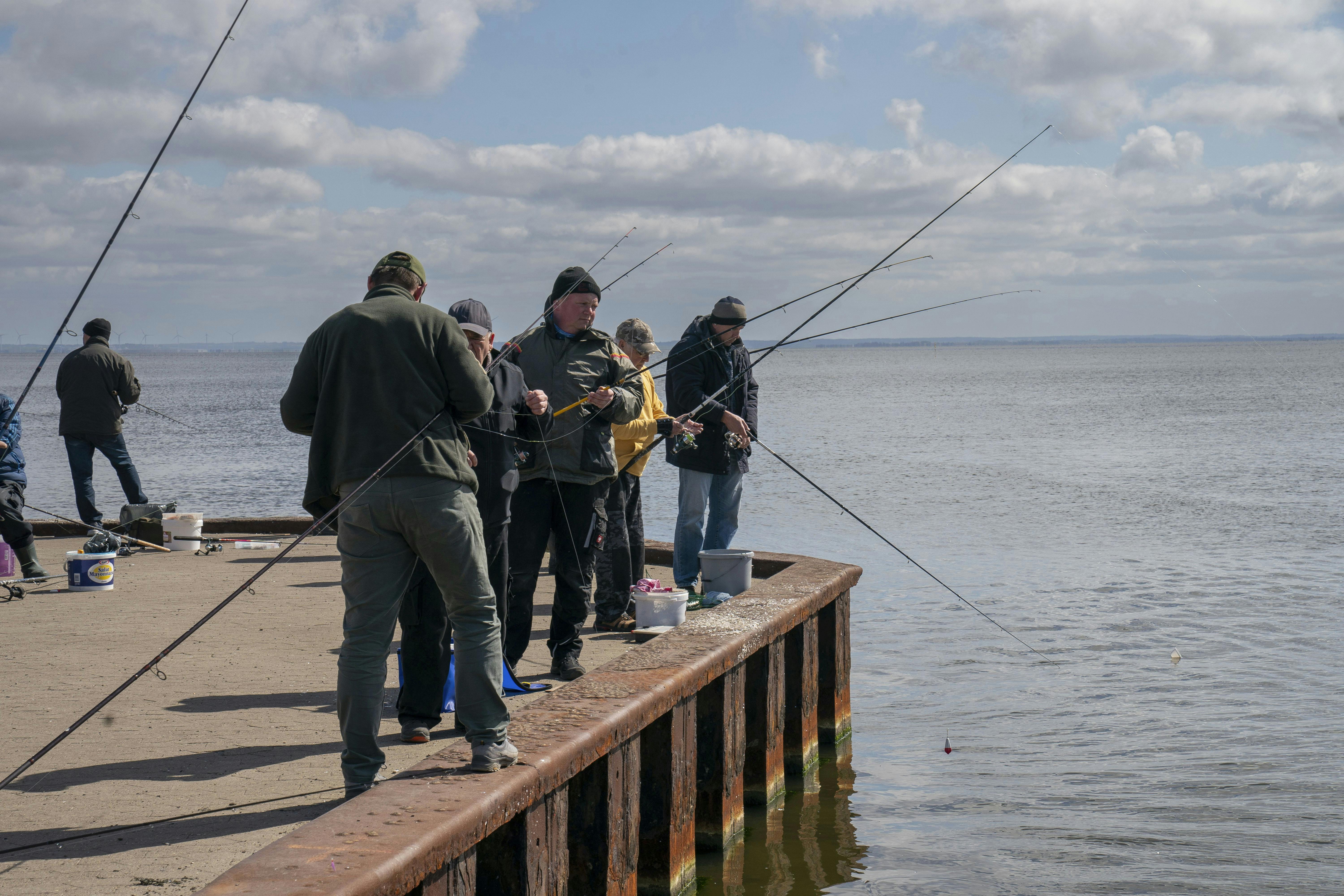Lystfiskere til sildefestival i Hvide Sande