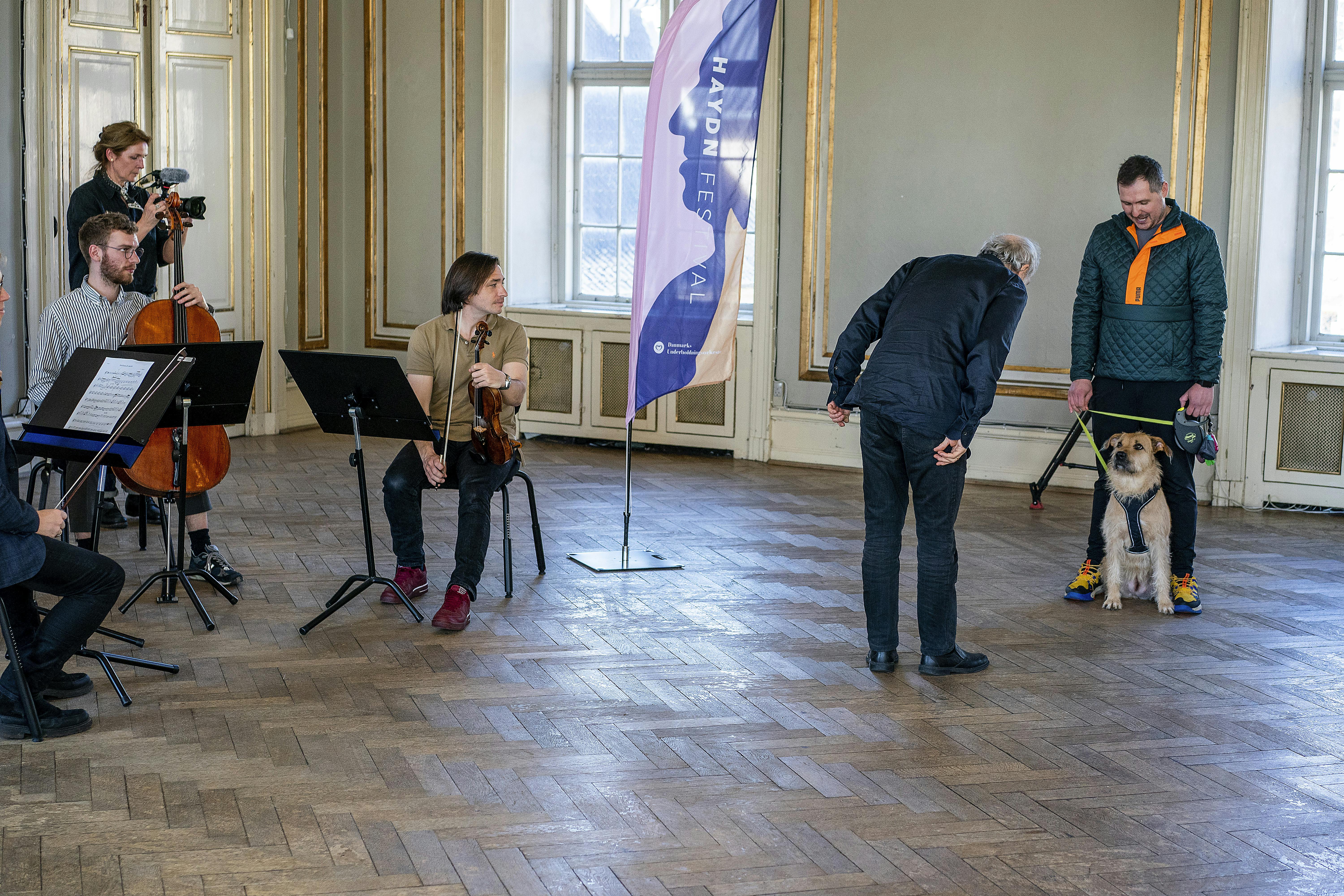 Audition for hunde i forbindelse med Hayden Festival 2023