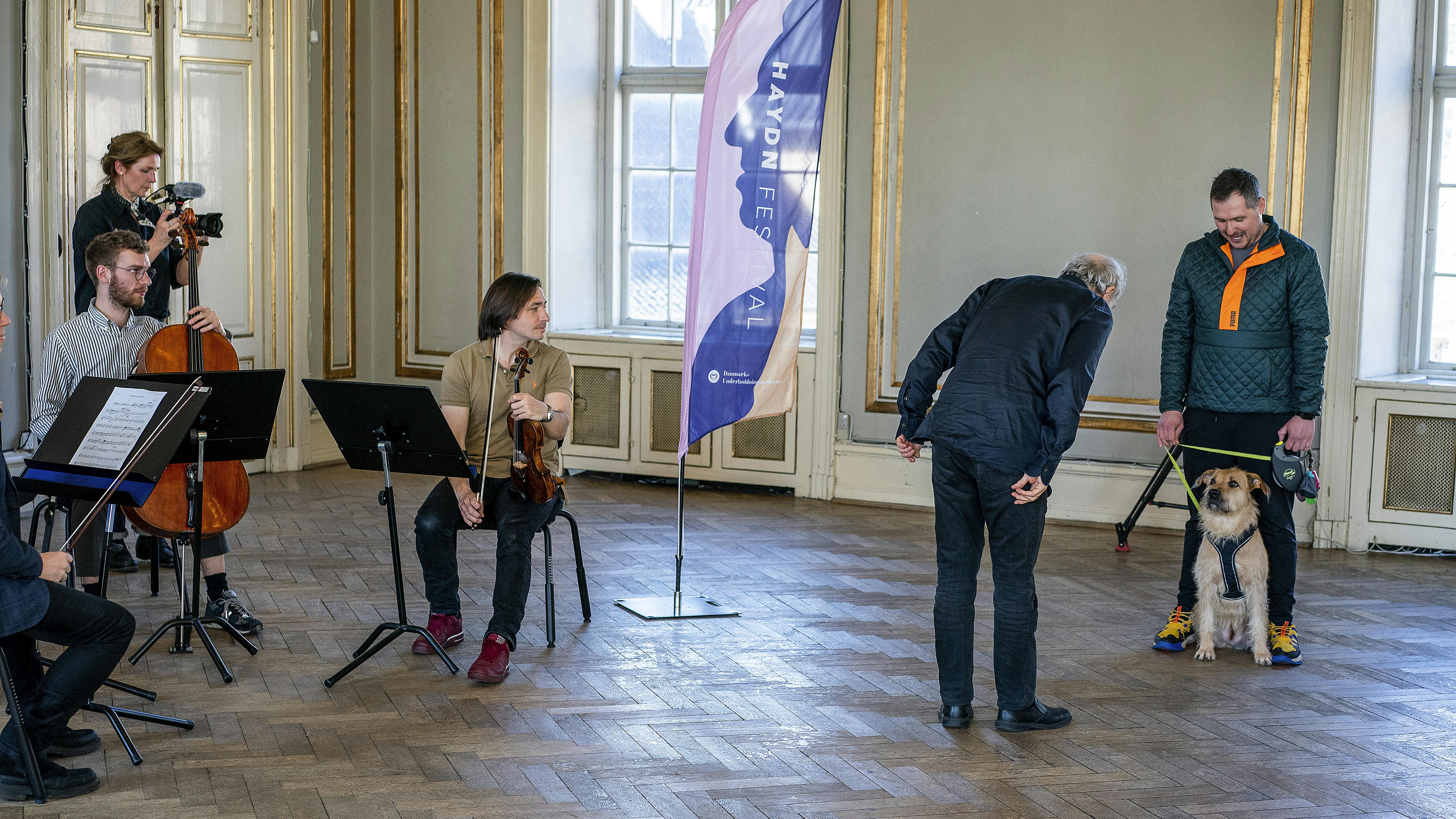 Audition for hunde i forbindelse med Hayden Festival 2023