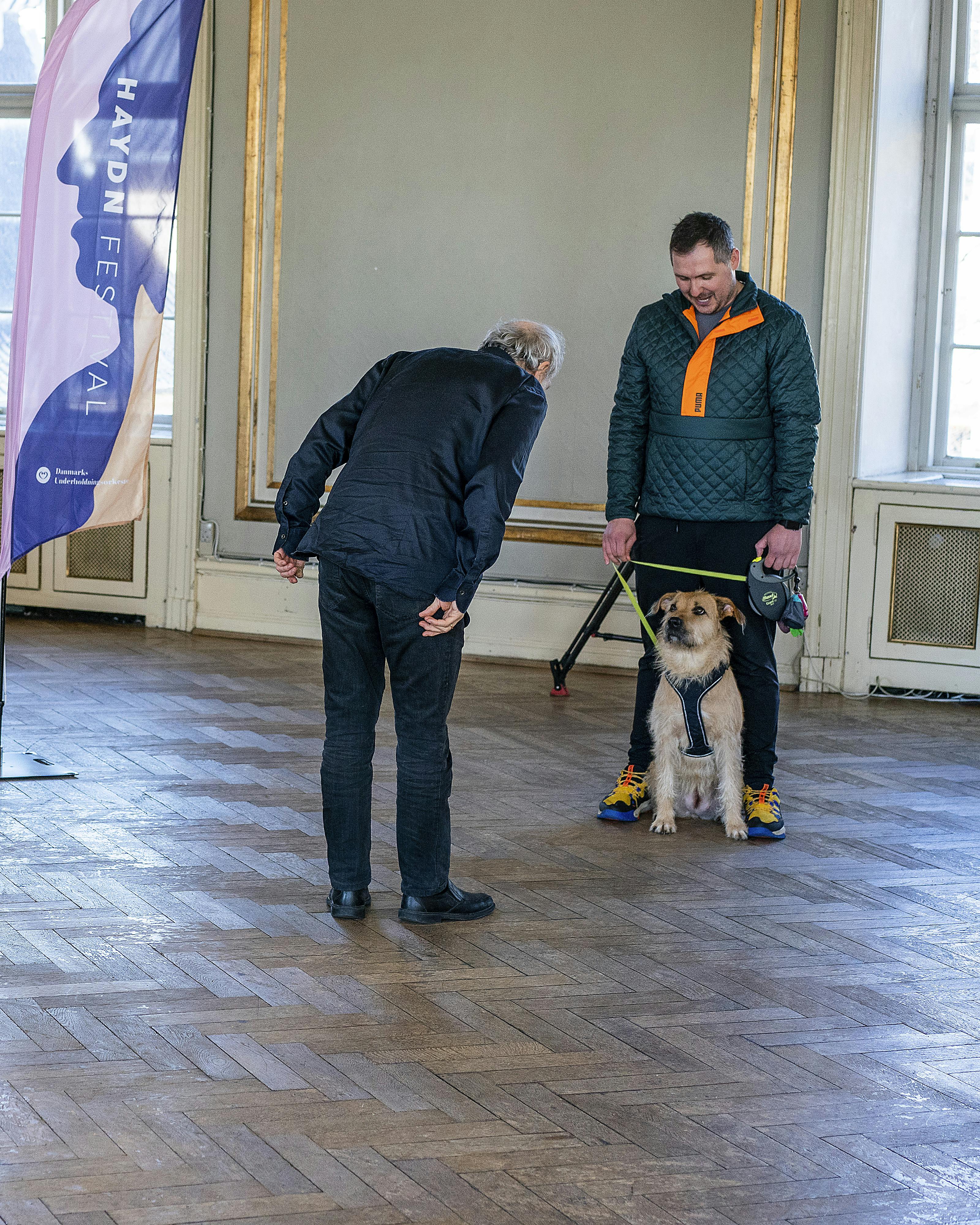 Audition for hunde i forbindelse med Hayden Festival 2023