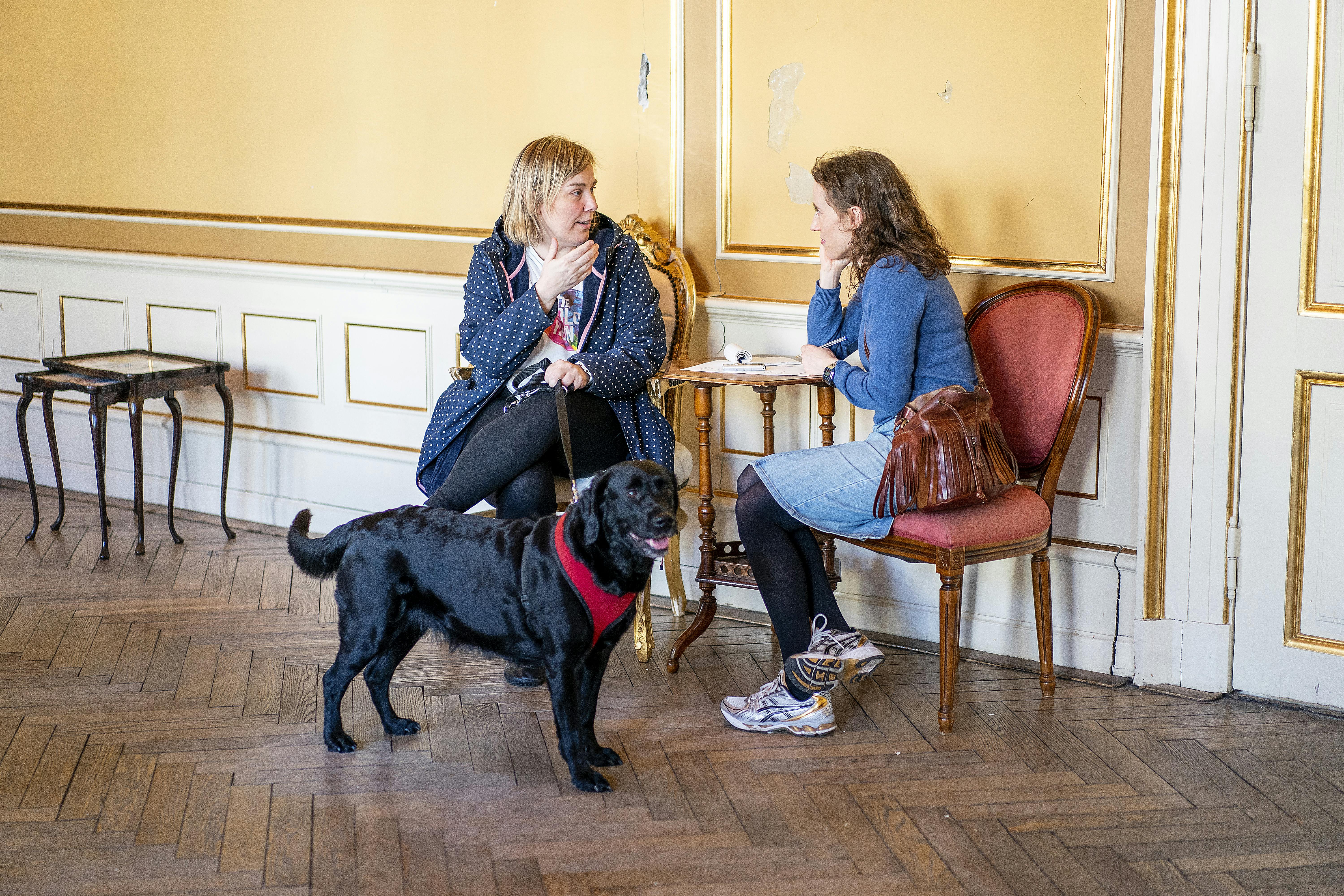 Audition for hunde i forbindelse med Hayden Festival 2023