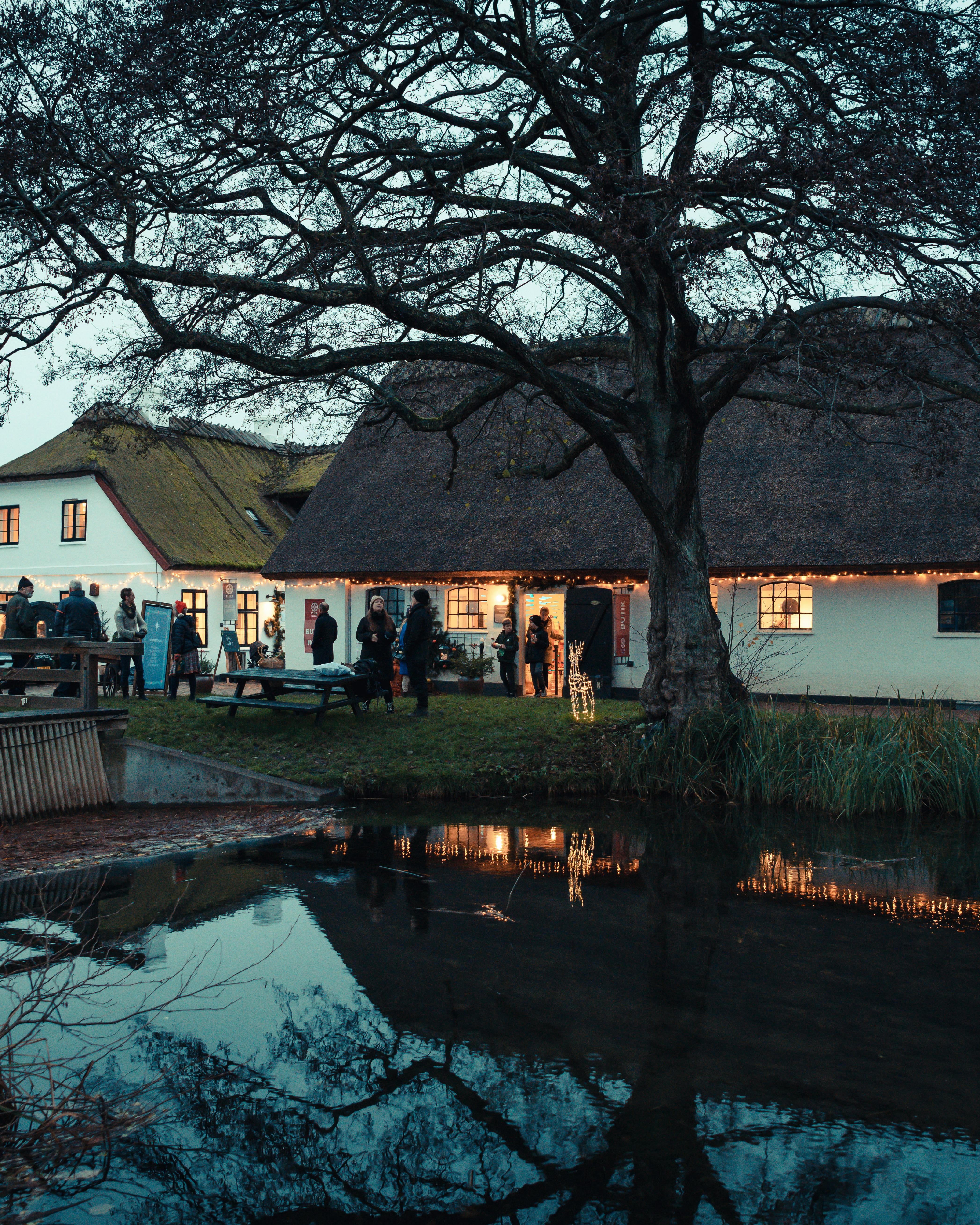 Julemarked på Esrum Kloster