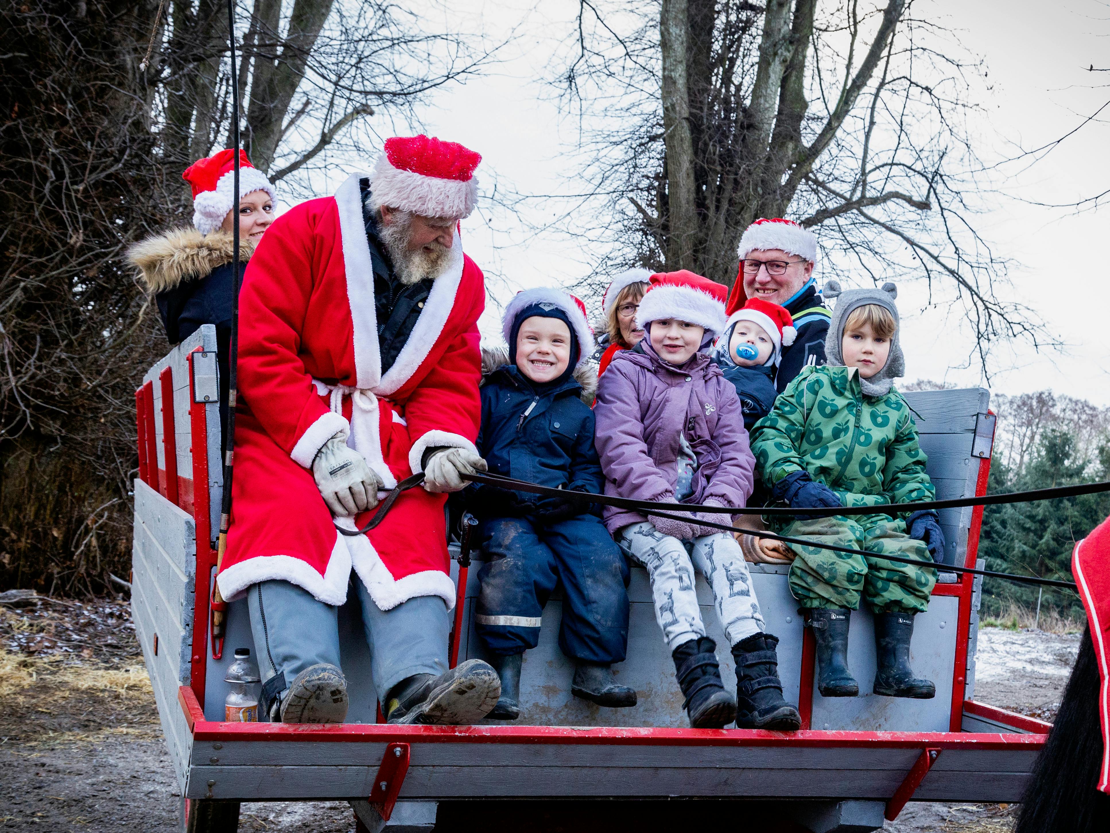 Julemand kører i hestevogn med børn