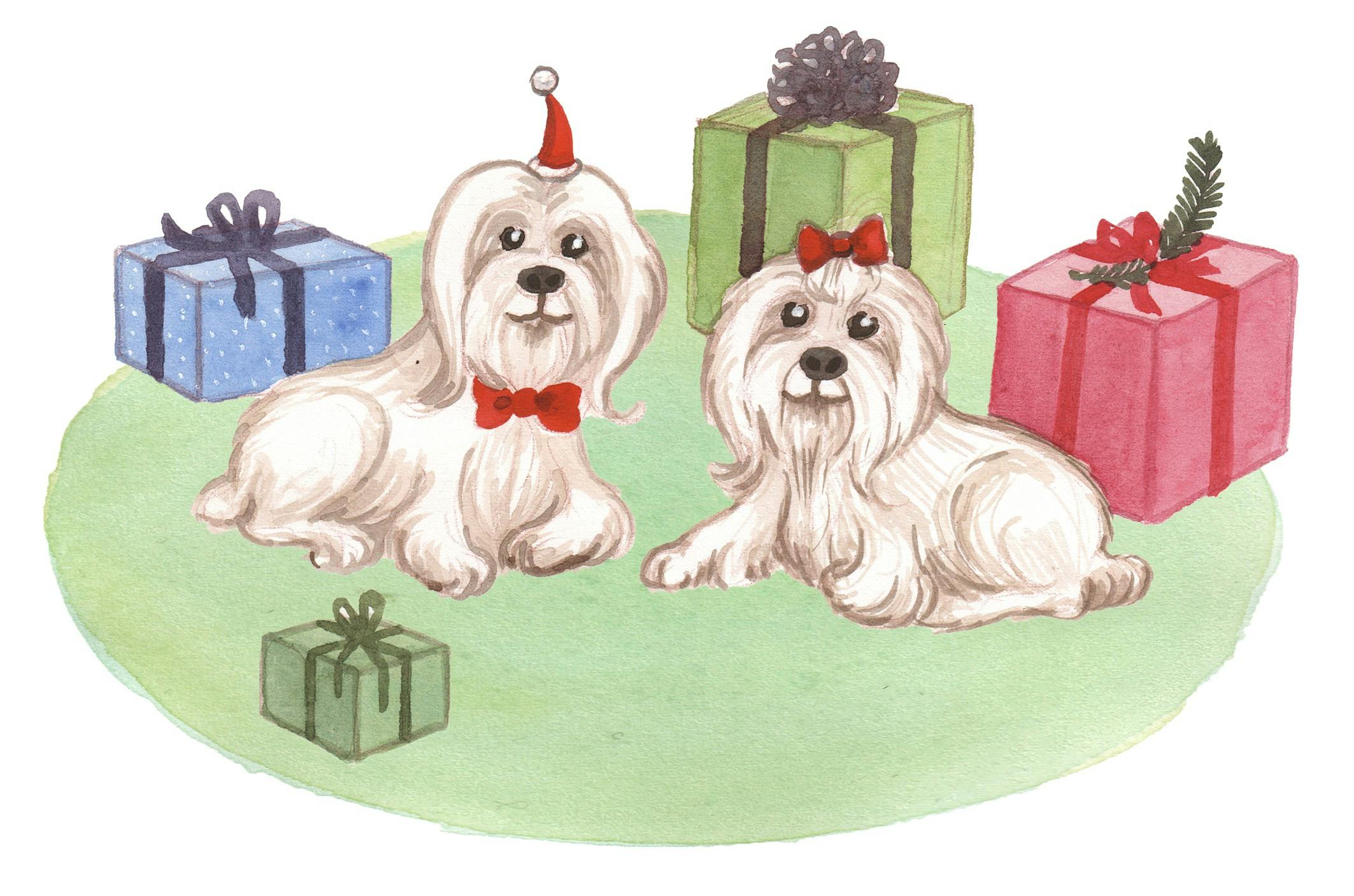 To små hunde og nogle julegaver