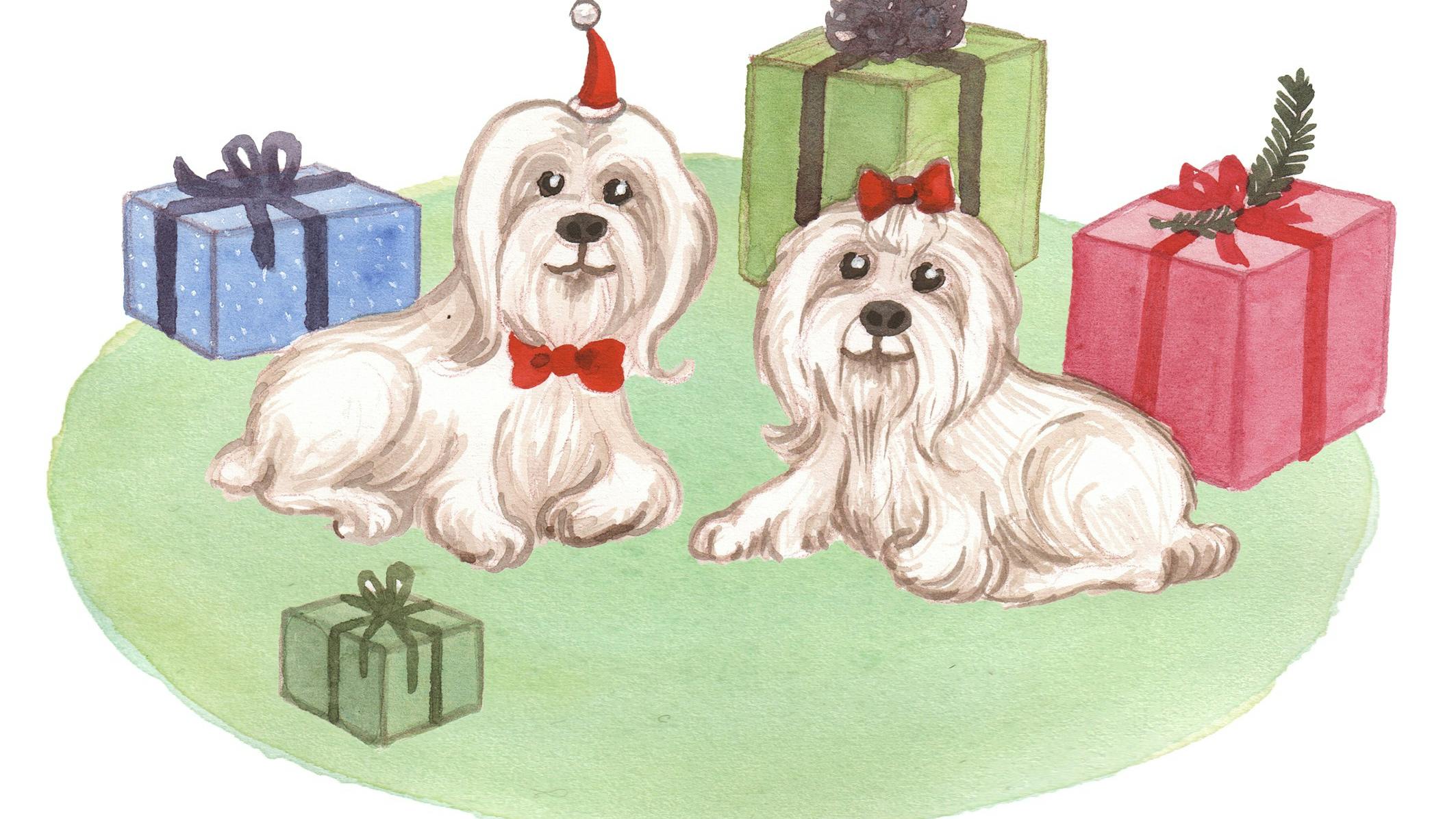 To små hunde og nogle julegaver
