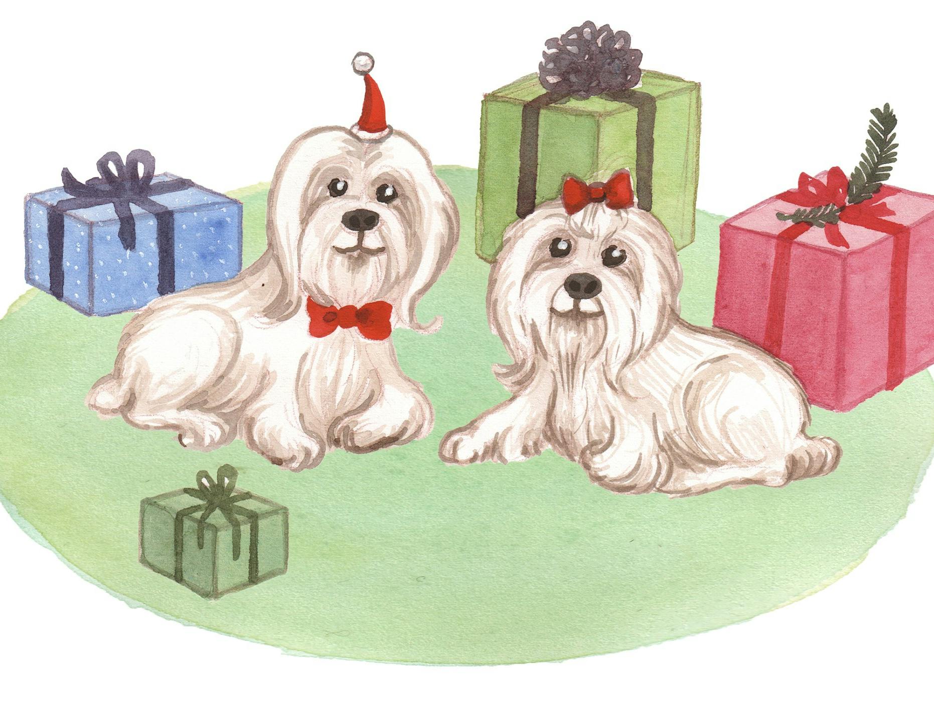 To små hunde og nogle julegaver