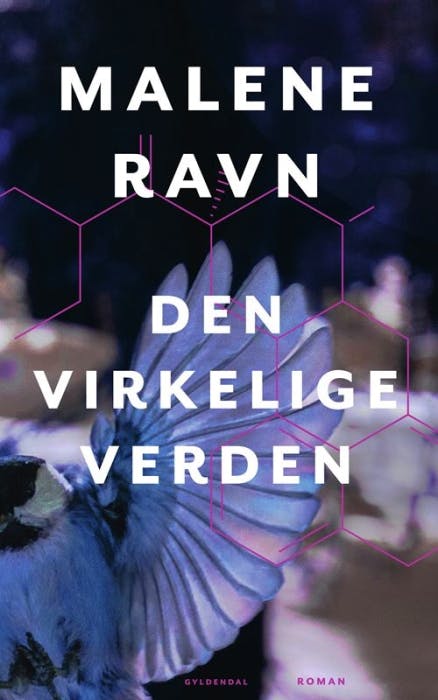 Bogen "Den virkelige verden"