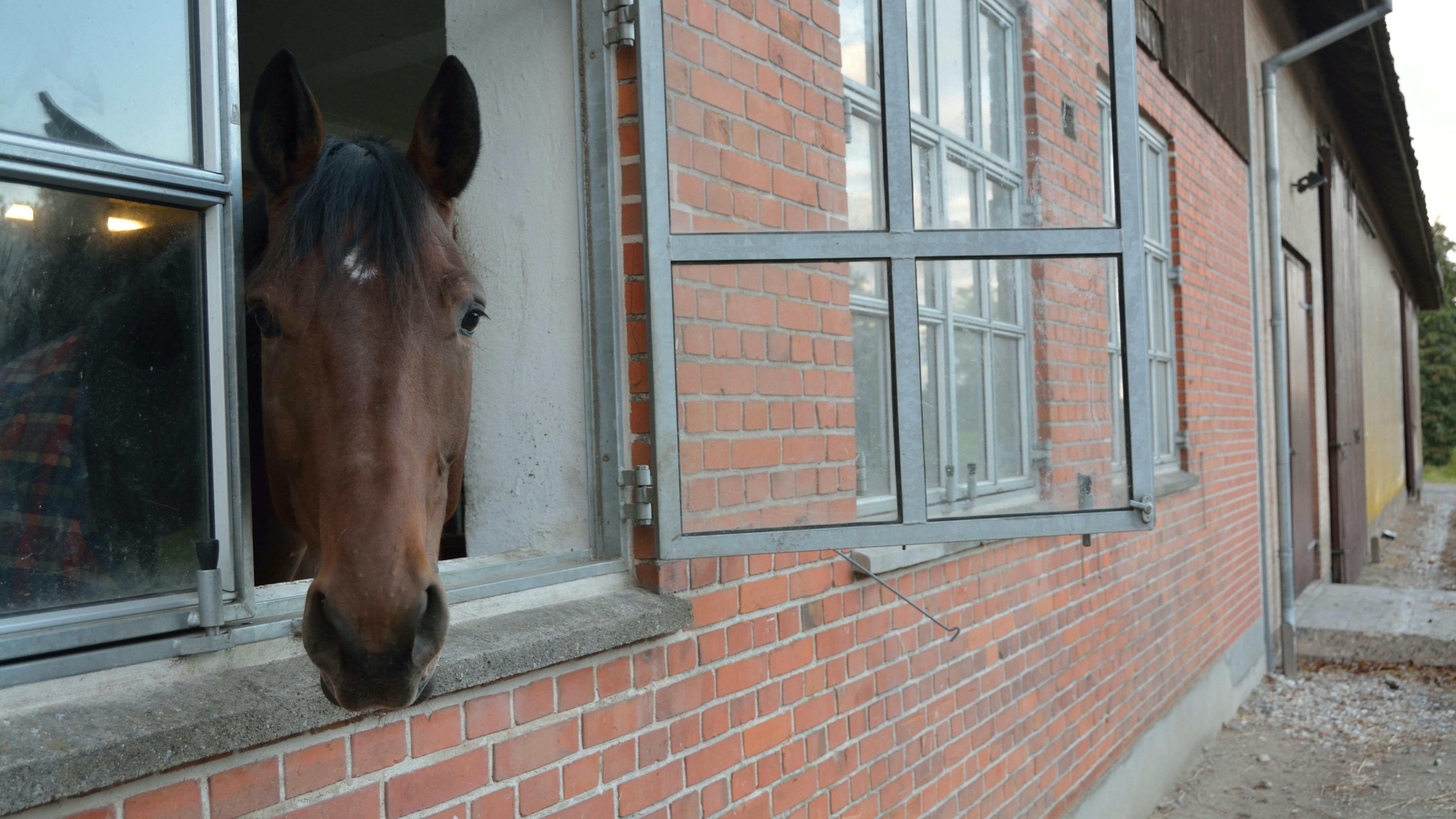 Blev vi snydt for arven?