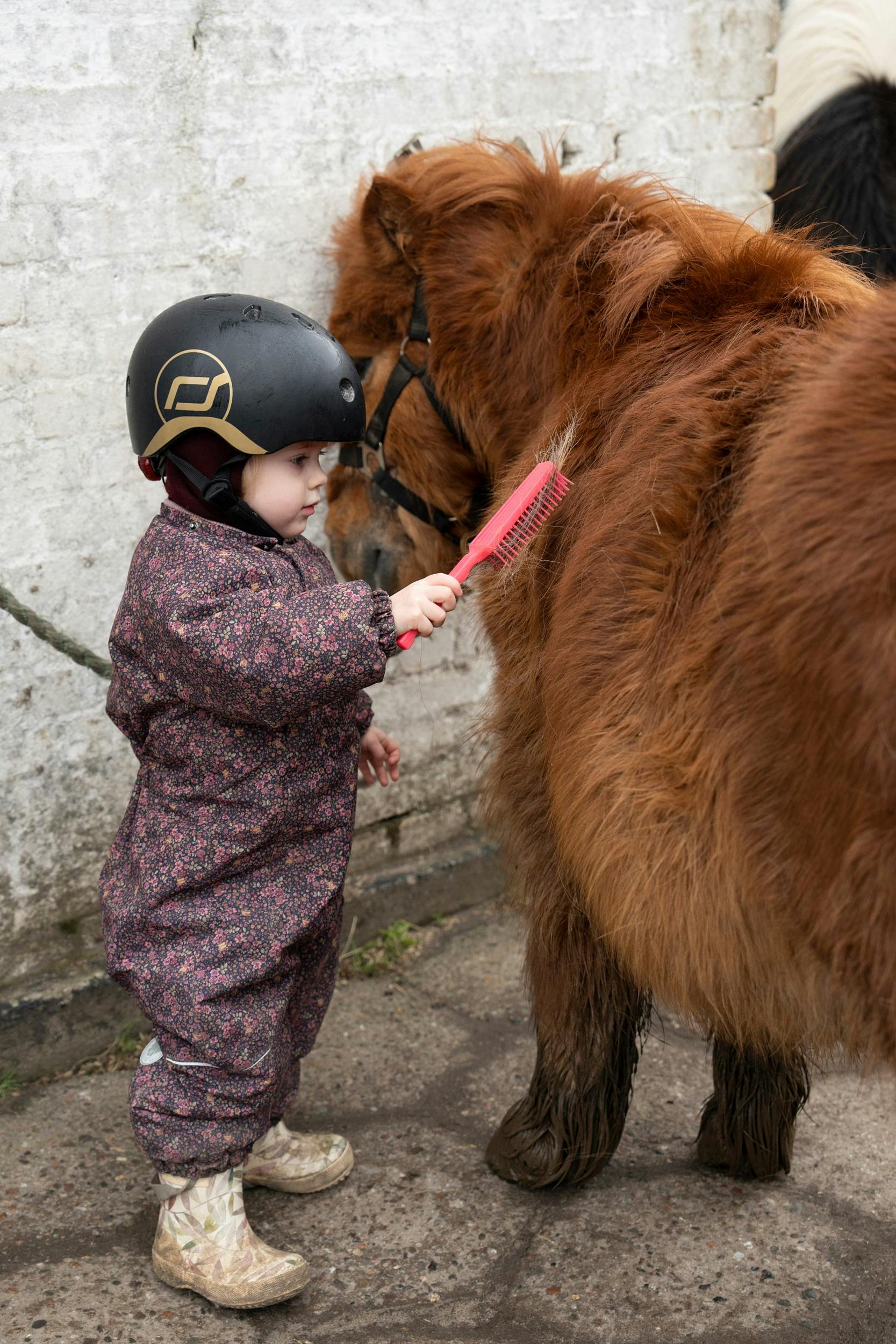 To, der forstår hinanden.