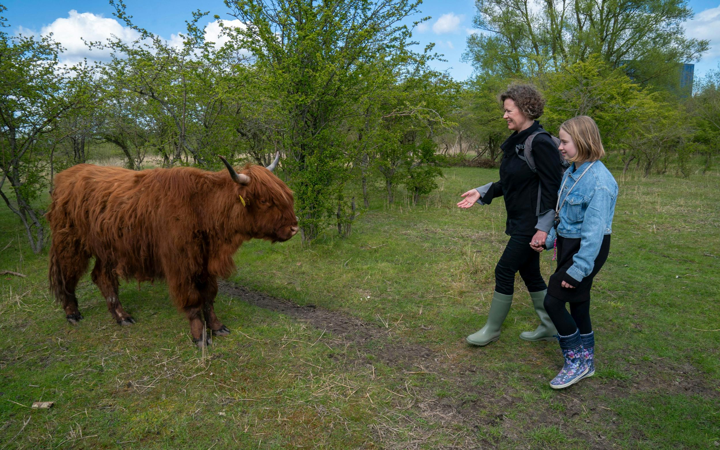 Nanna Borne og Helga står sammen med en ko
