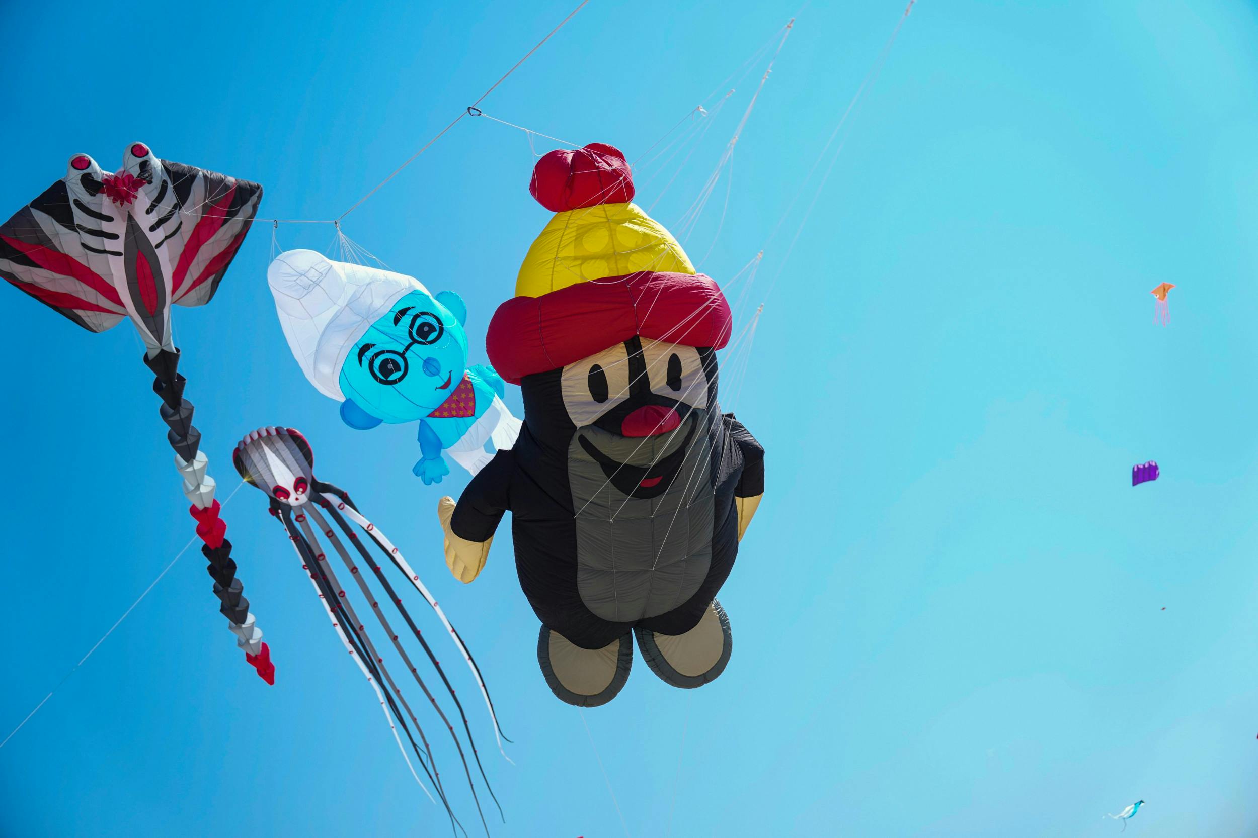 Drager til Fanø Dragefestival