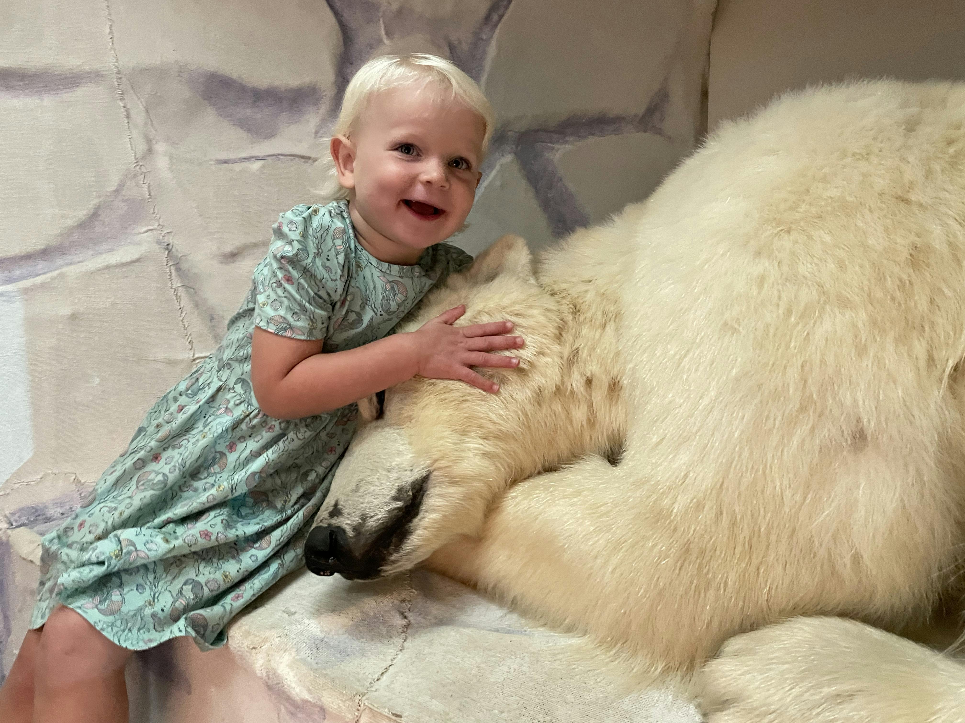 Der er spot på bamser og bjørne i Naturama.