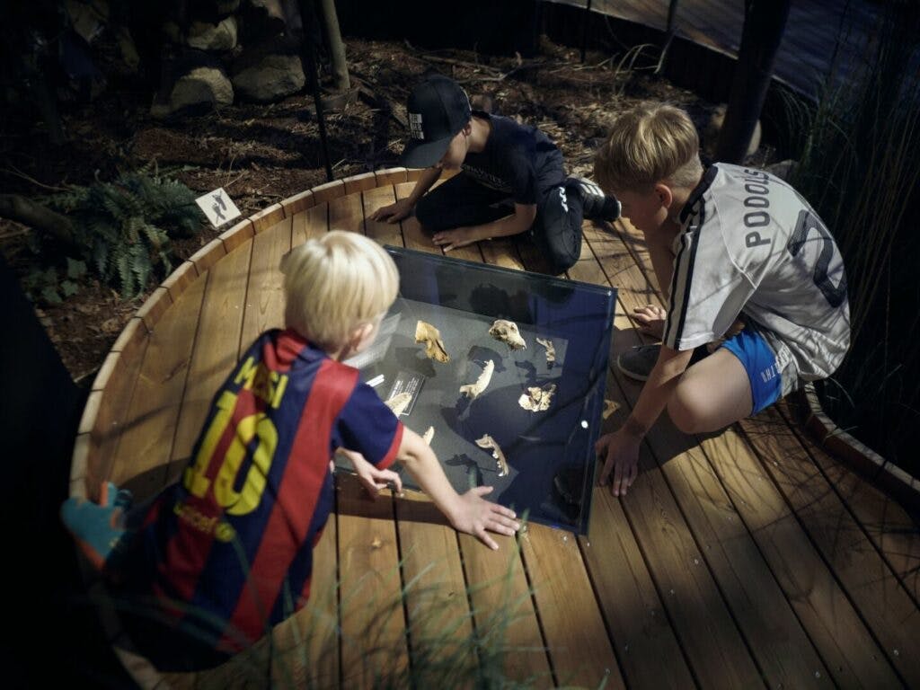 Stiftsmuset i Maribo.