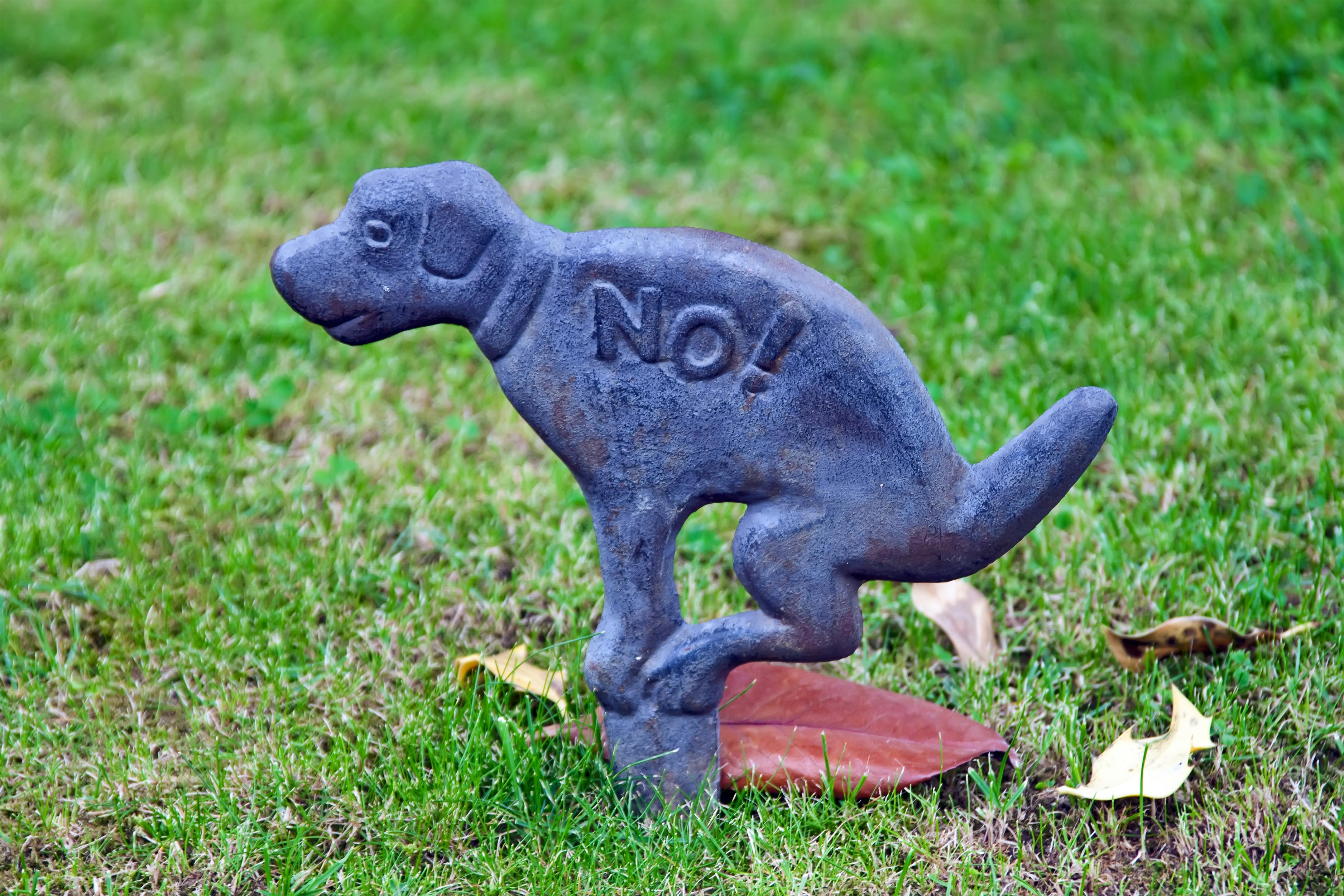 No dog fouling sign