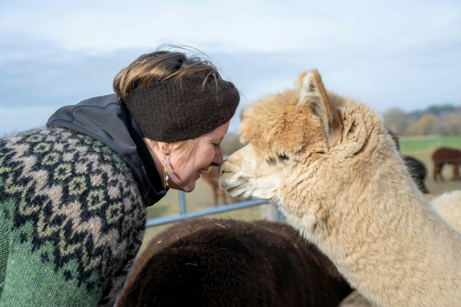 For at forstå dyrenes indre følelsesliv er Katja ved at lære sig alpati – telepati med alpakaer.