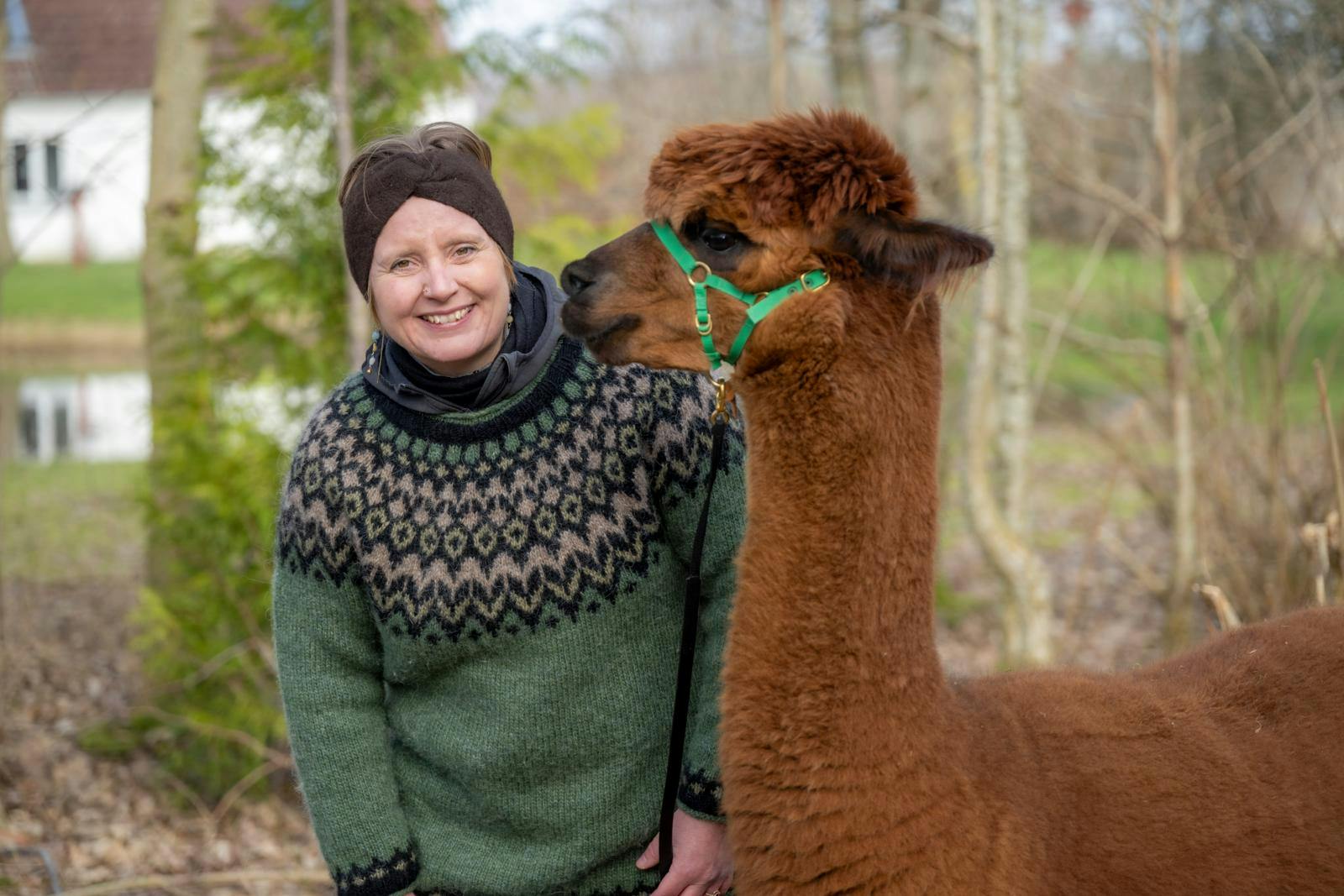 Katja Piil har et blødt punkt for alpakaer, især hingsten Coco, som var en af hendes første.