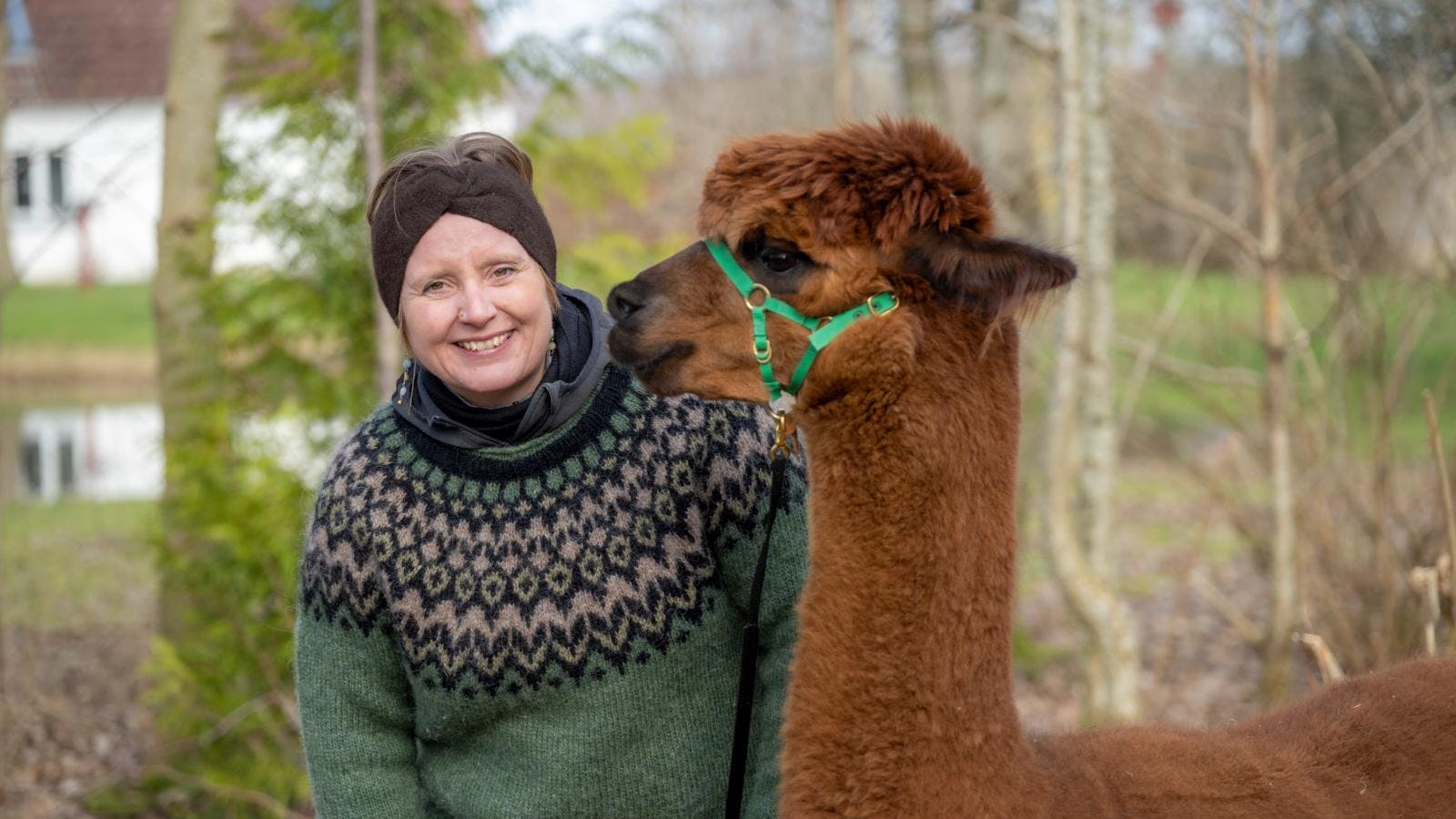 Katja Piil har et blødt punkt for alpakaer, især hingsten Coco, som var en af hendes første.