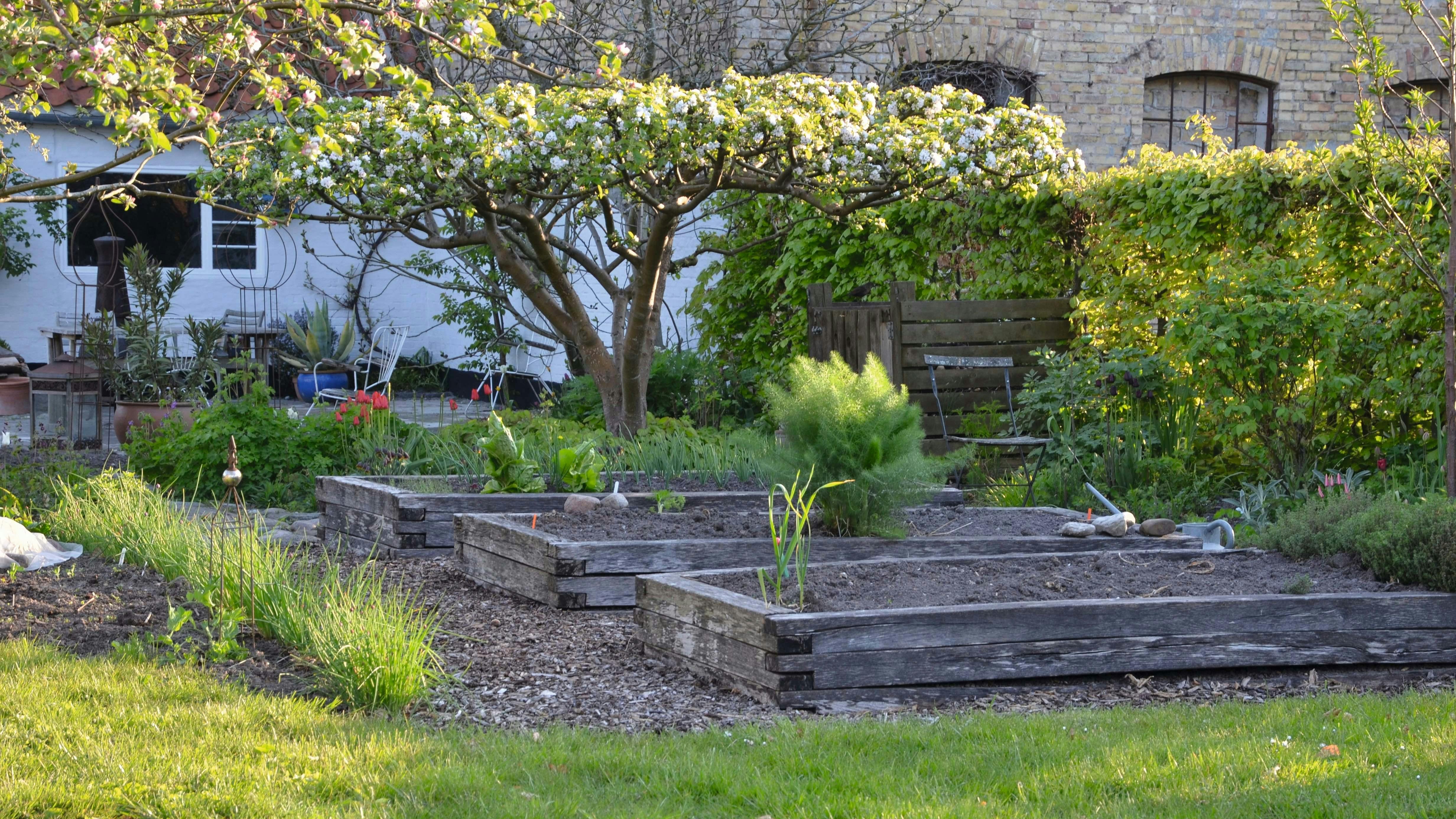 Køkkenhave højbede