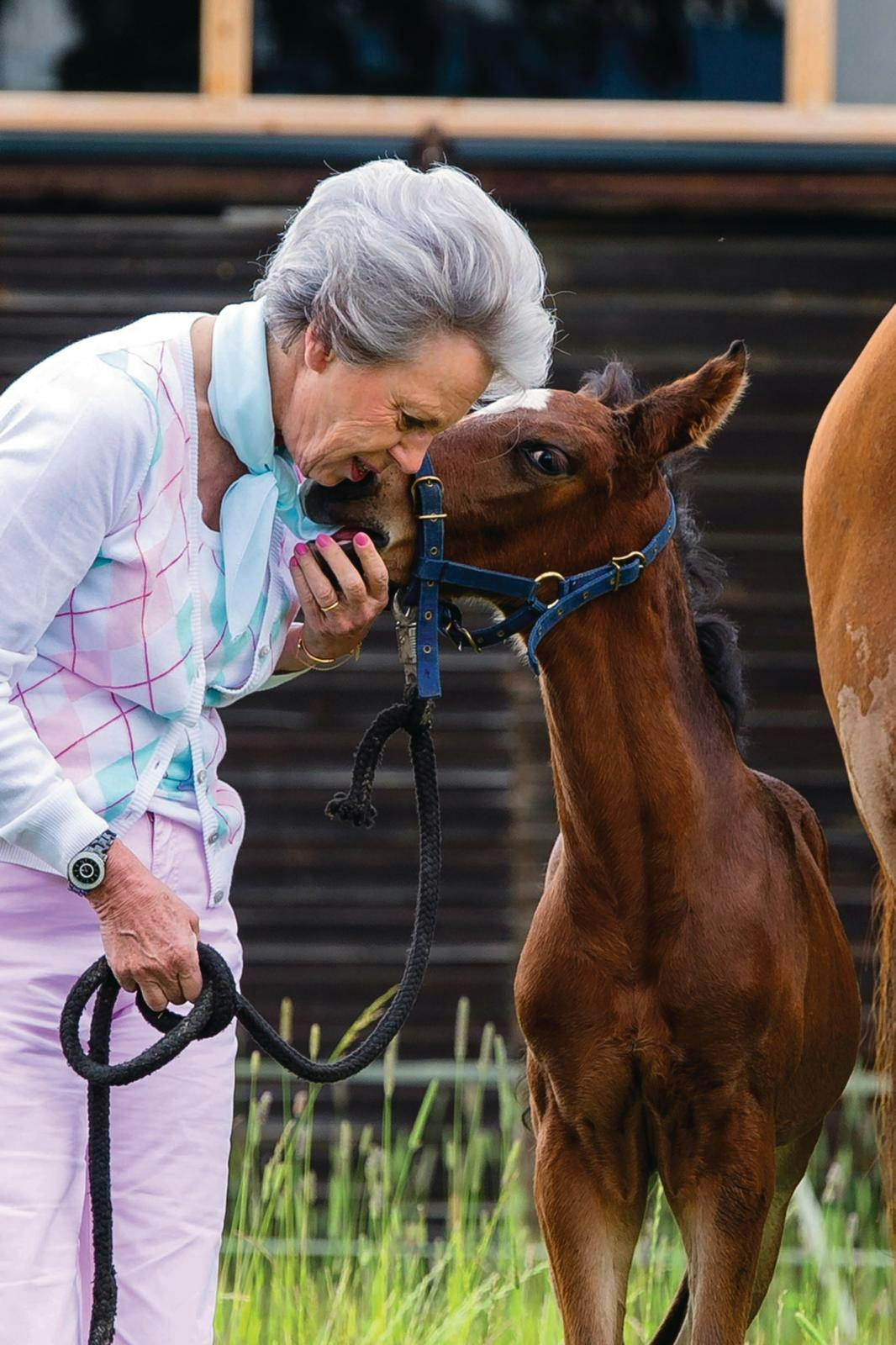 Prinsesse Benedikte viser hesten Pinkys lille føl frem på Berleburg i 2013.