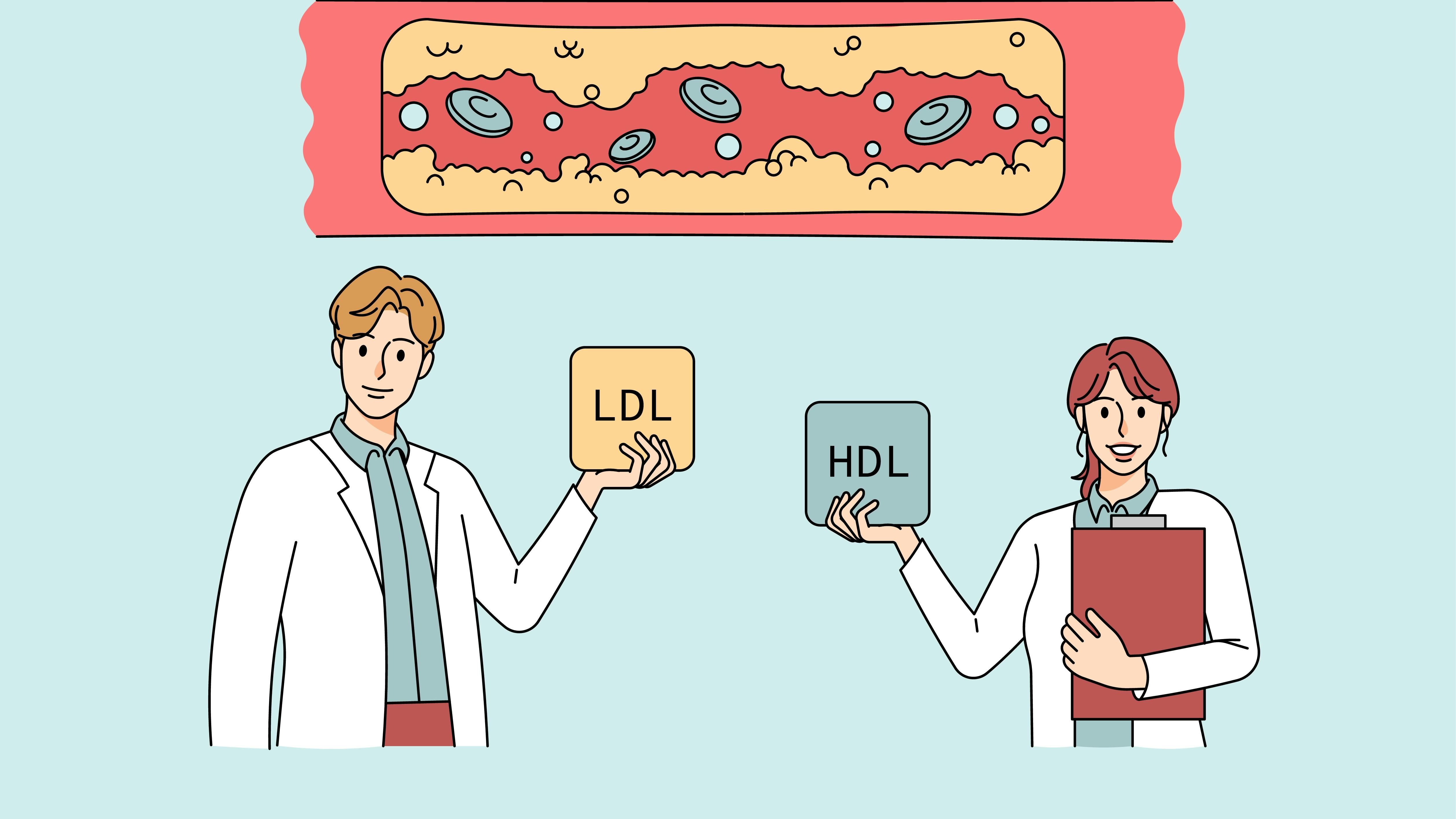 Illustration af kolesterol