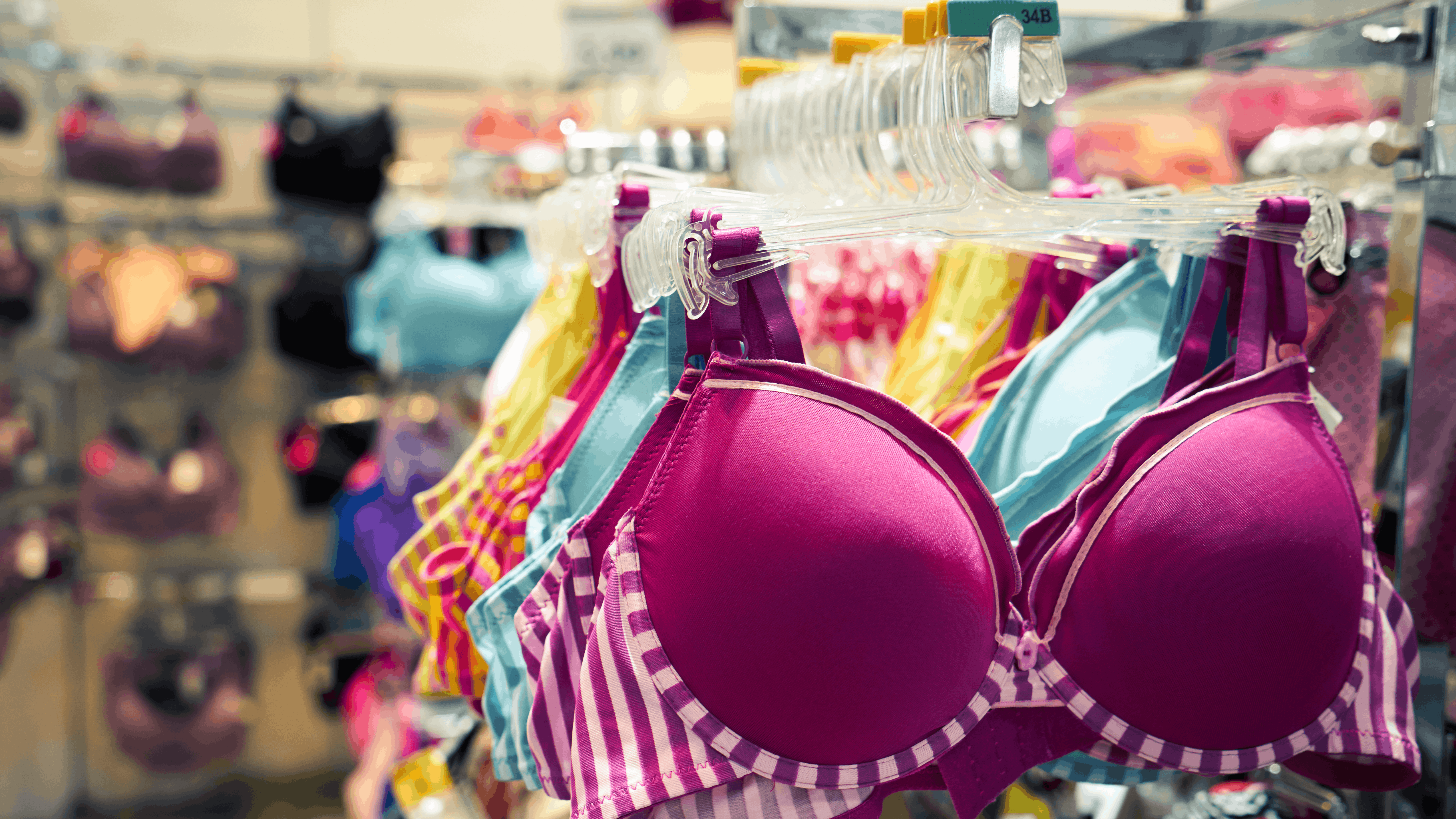 Clothing and retail store: view of clothes shop with bra hanged on stand