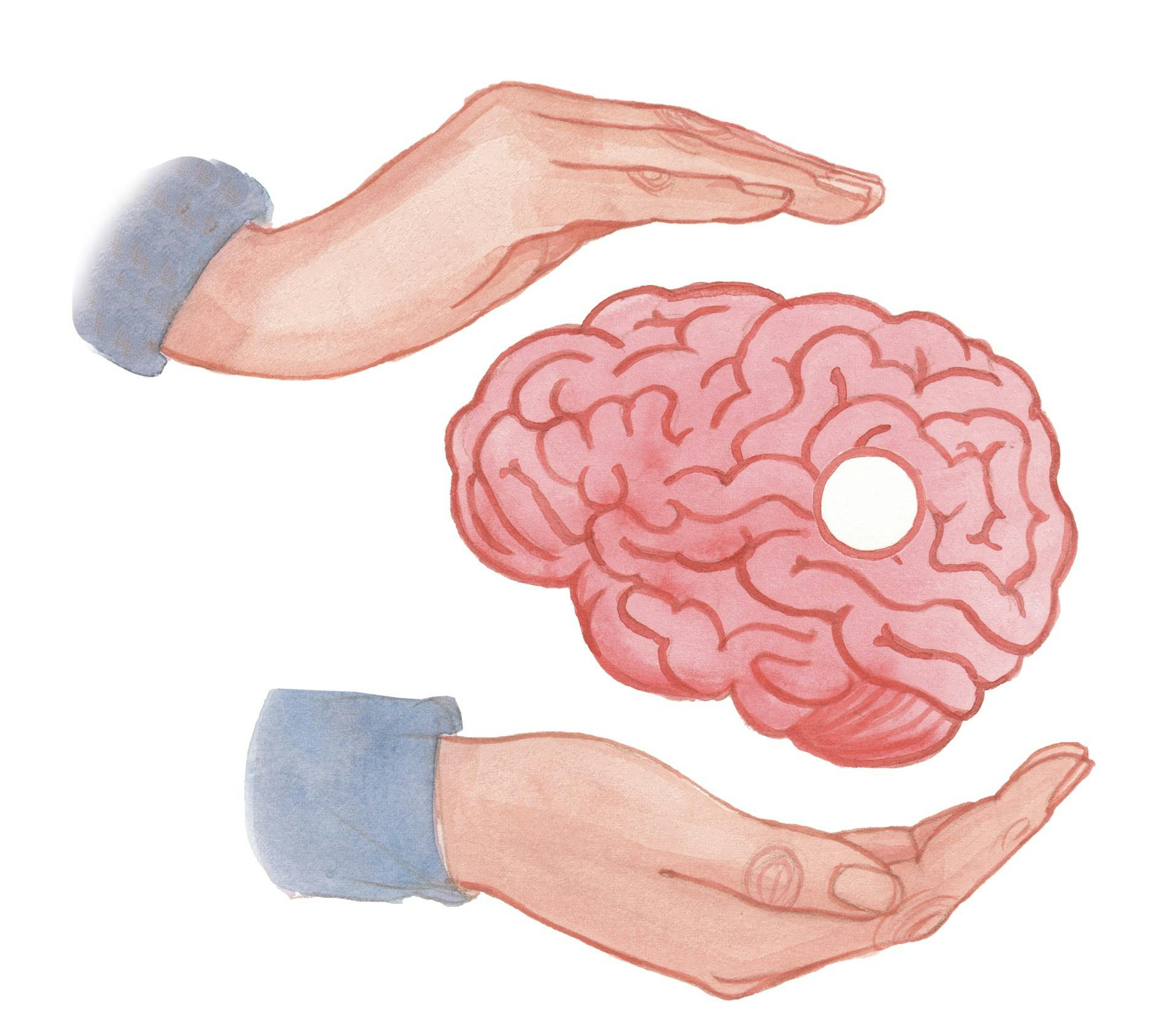 Et sæt hænder der holder om en hjerne