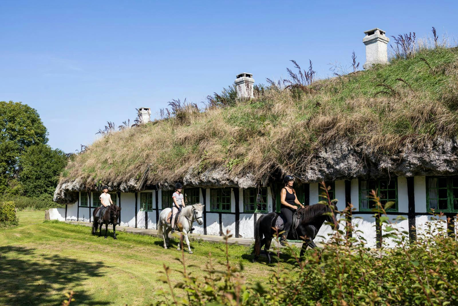 Læsø