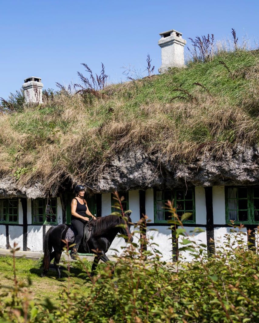 Læsø