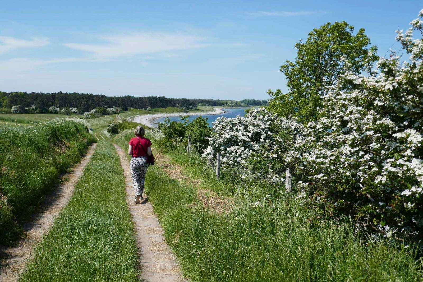 Sejerø