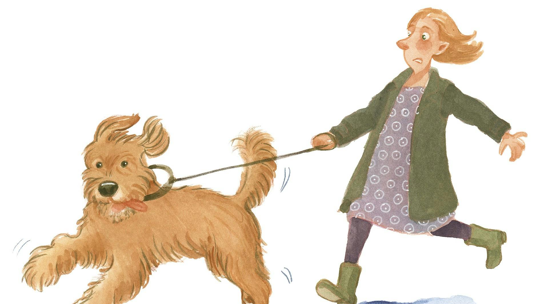 En hund der trækker en kvinde efter sig.