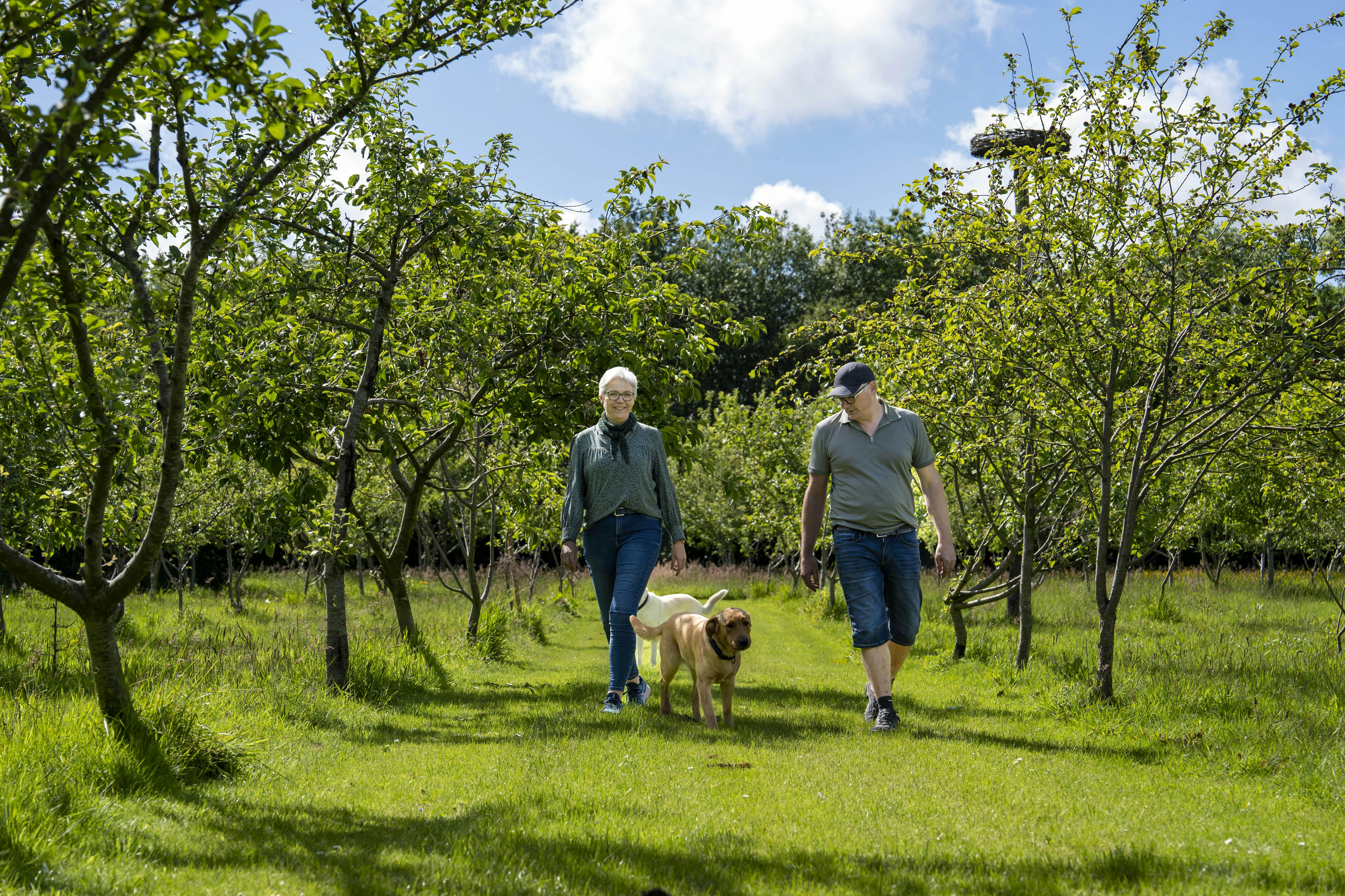 Benny Agerbo har altid drømt om at kunne gå tur i sin egen æbleplantage, og nu er drømmen gået i opfyldelse.