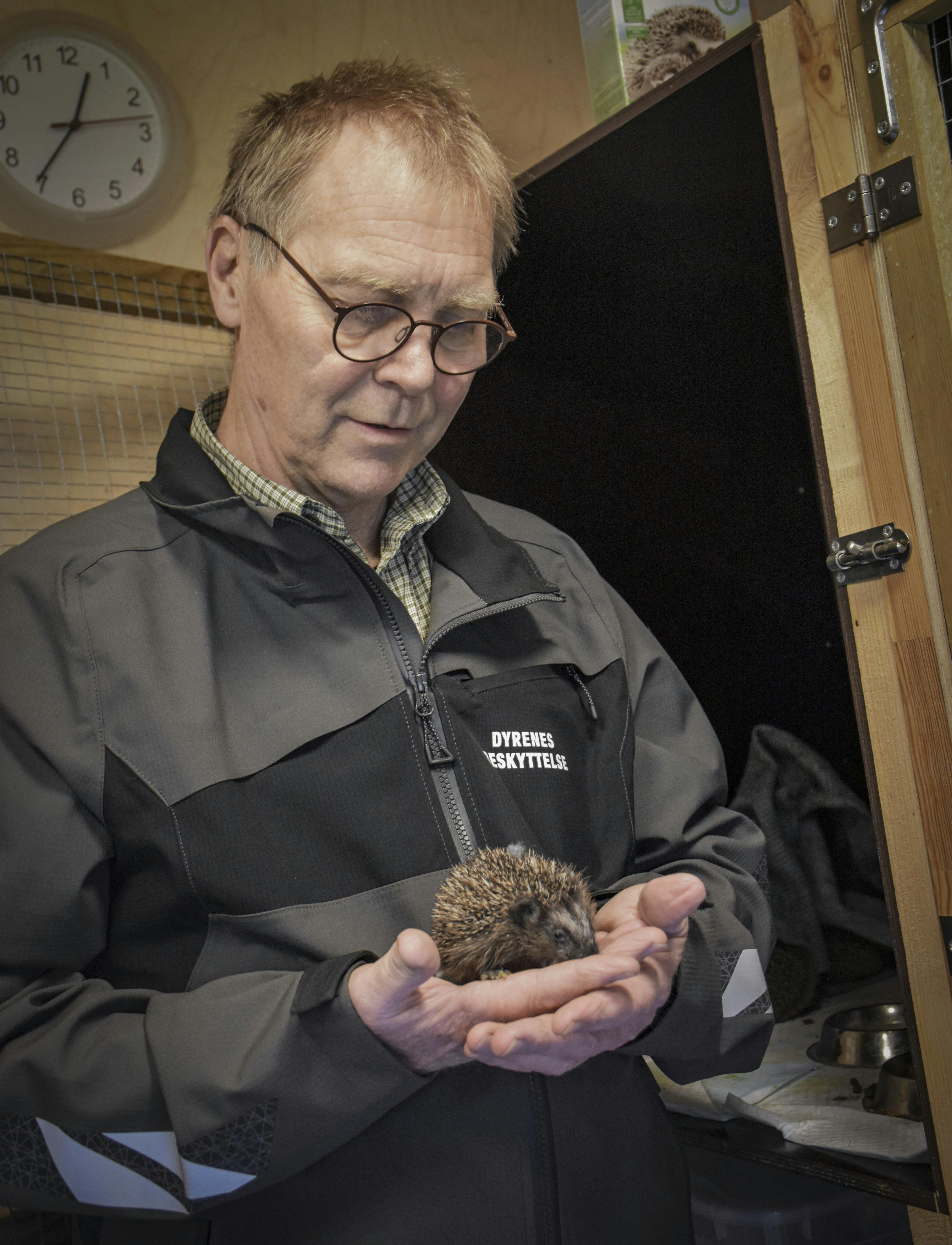 Hans Jørn Frisk med et pindsvin i hånden