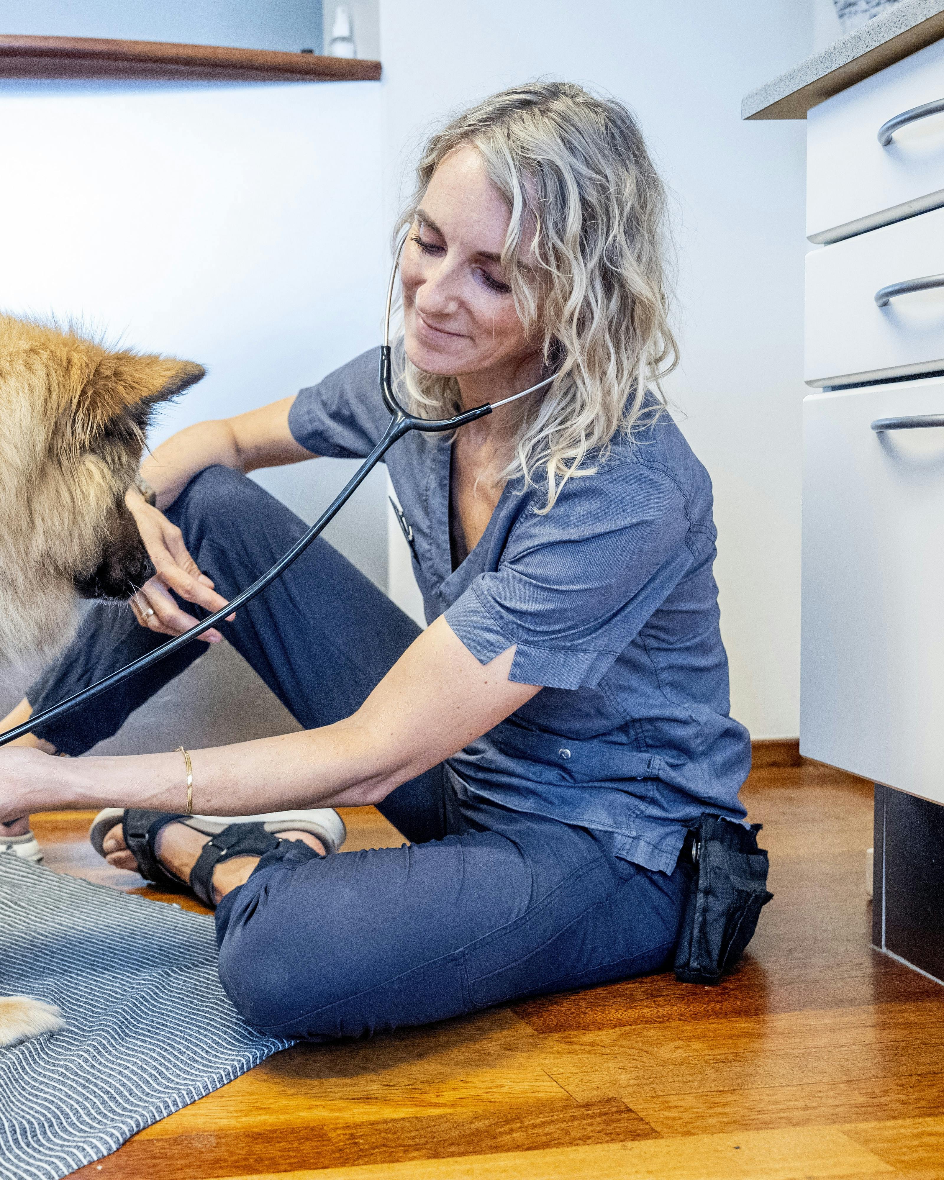 Hundeklinikken