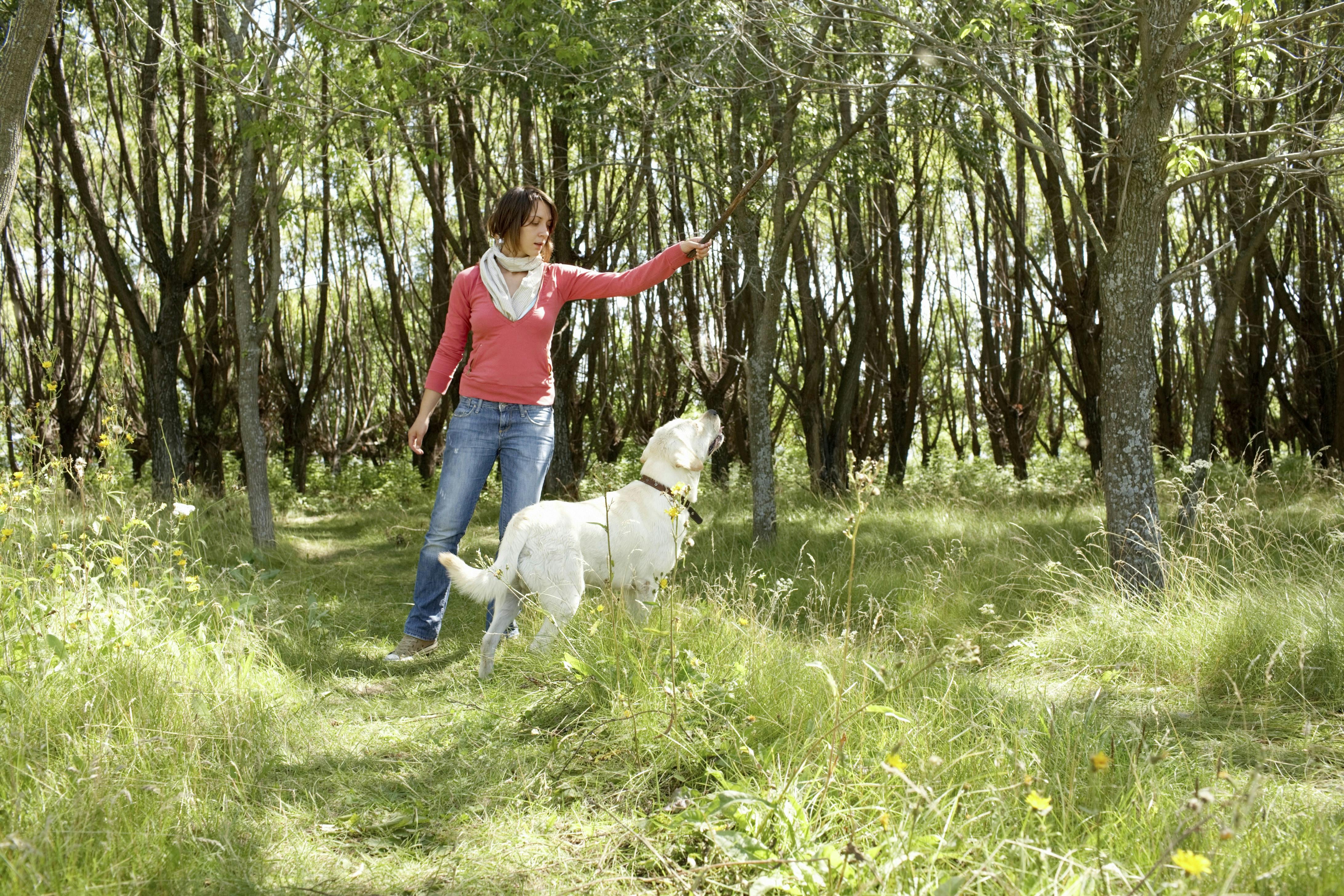 Kvinde med sin hund i en park