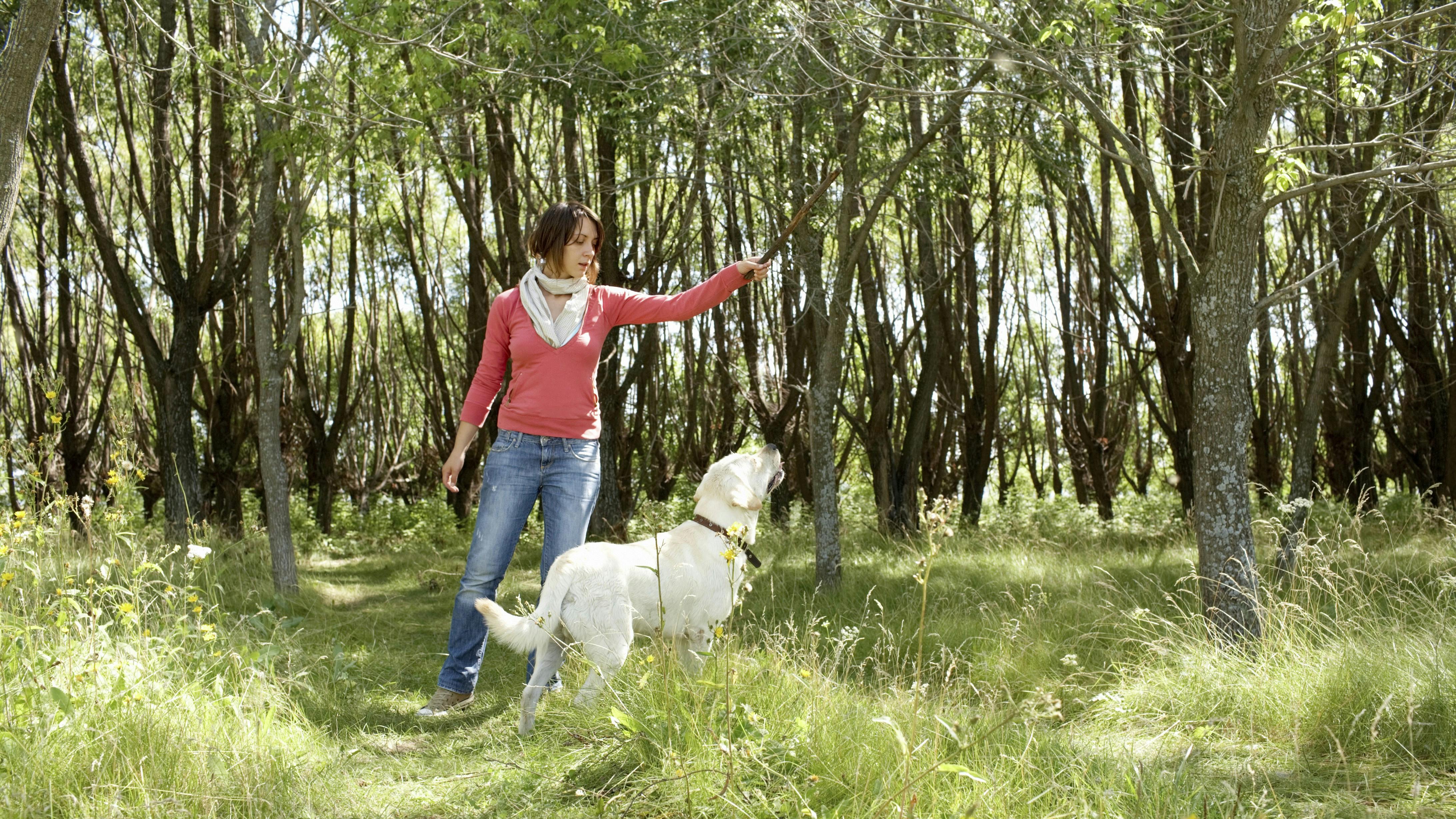 Kvinde med sin hund i en park