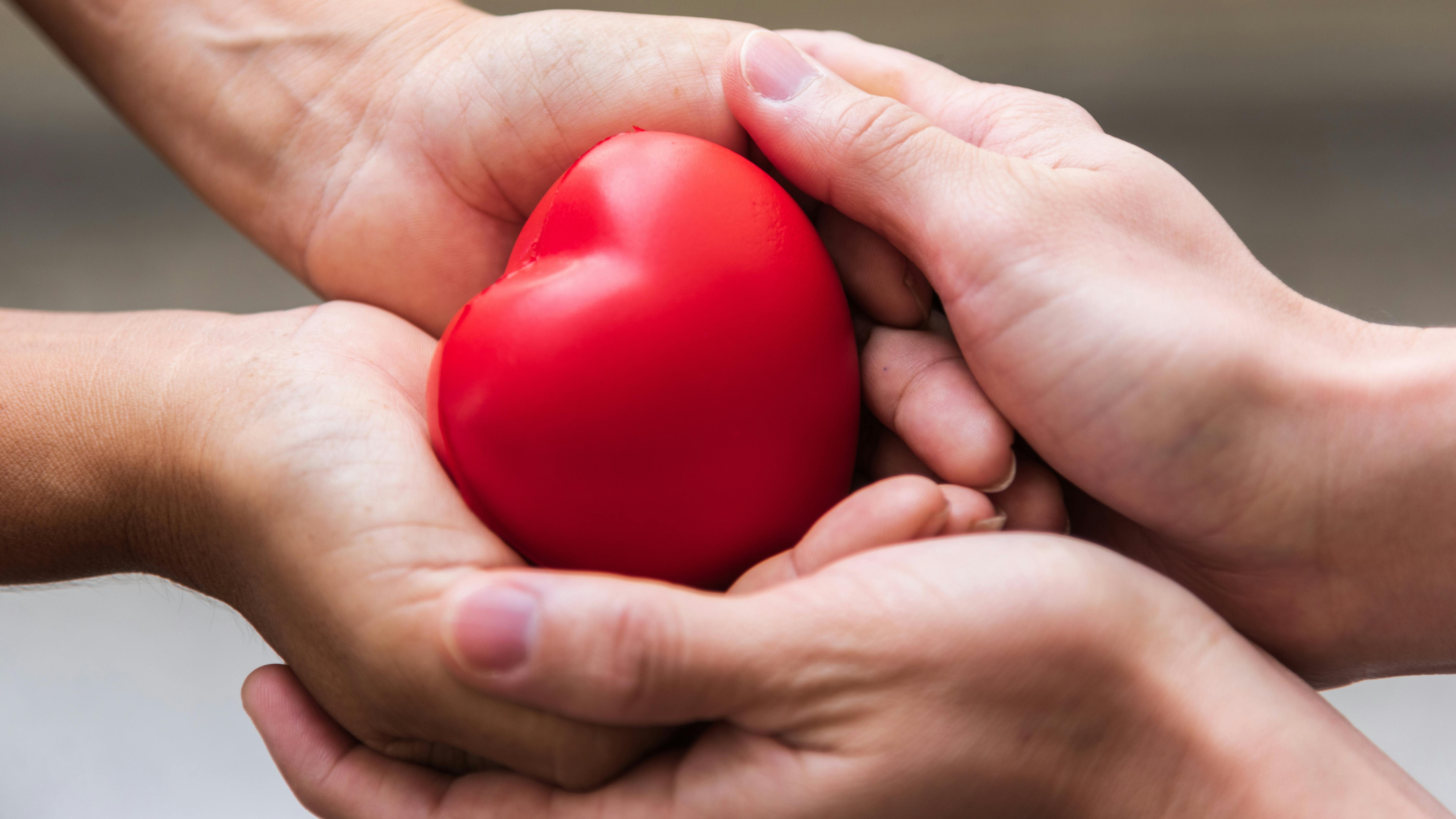 To par hænder holder et hjerte