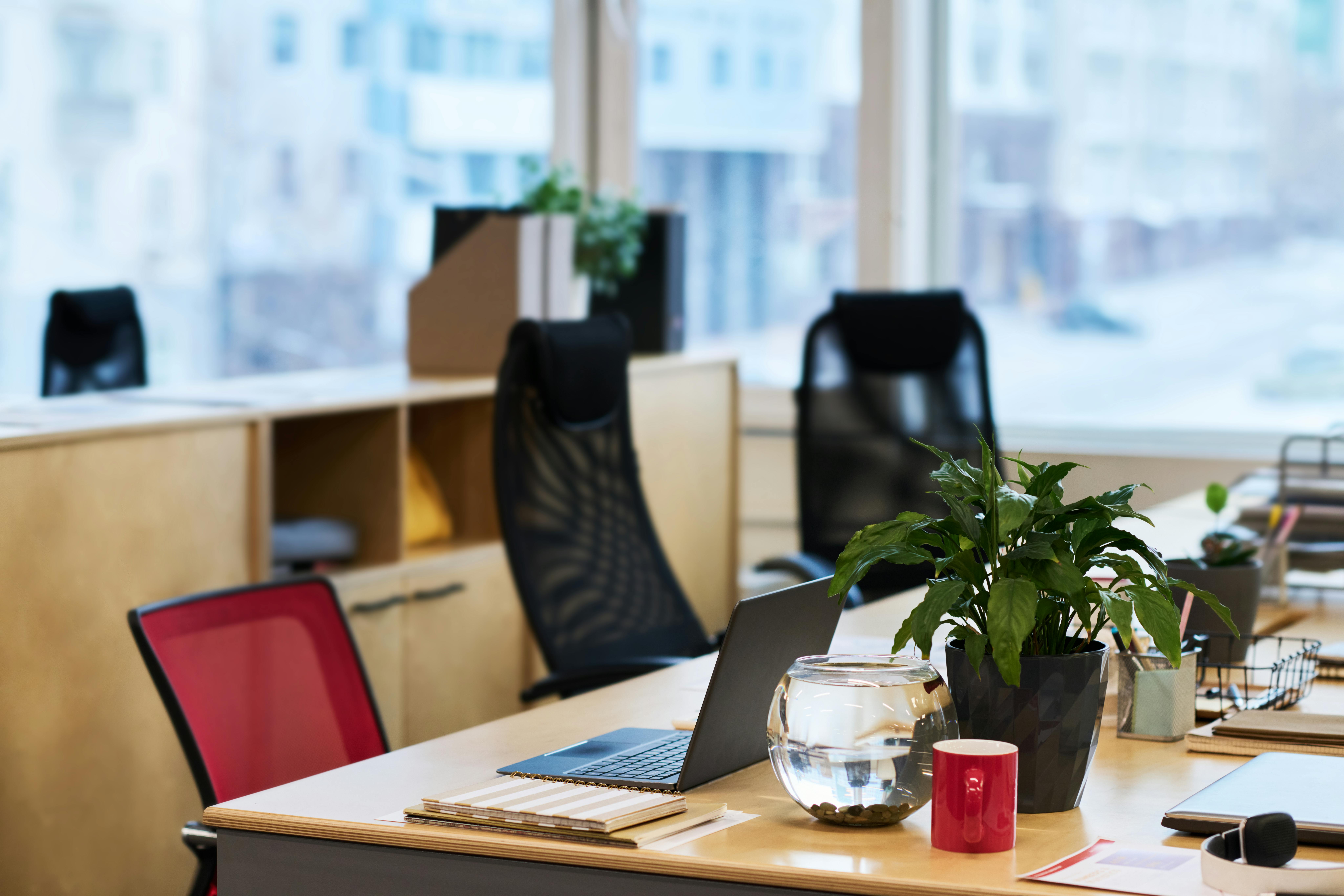 Workplace of designer or manager with laptop surrounded by green plant in flowerpot, notepads and fish tank with water in openspace office