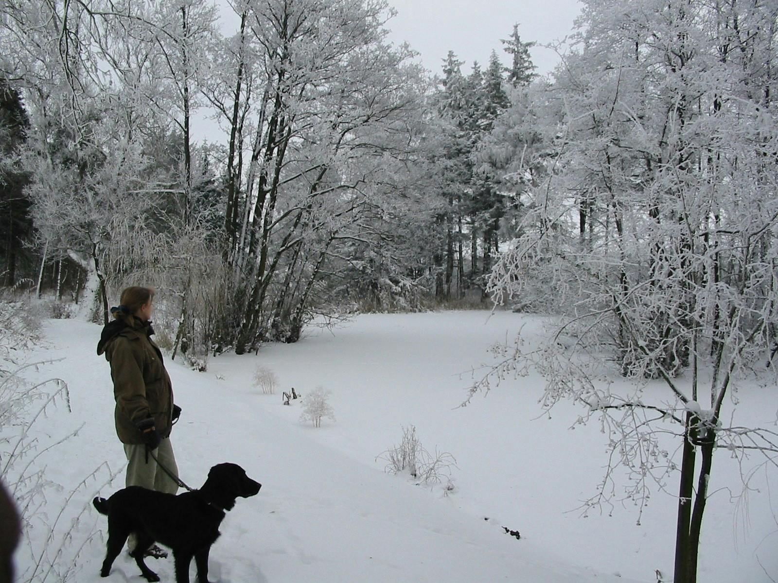 Vejrvært og meteorolog Lone Seir Carstensen i sneen med sin hund.