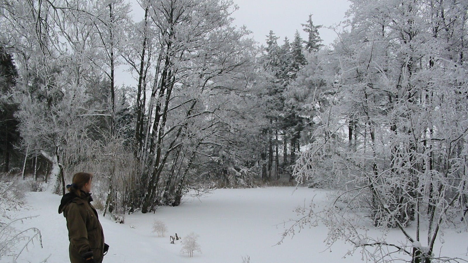 Vejrvært og meteorolog Lone Seir Carstensen i sneen med sin hund.