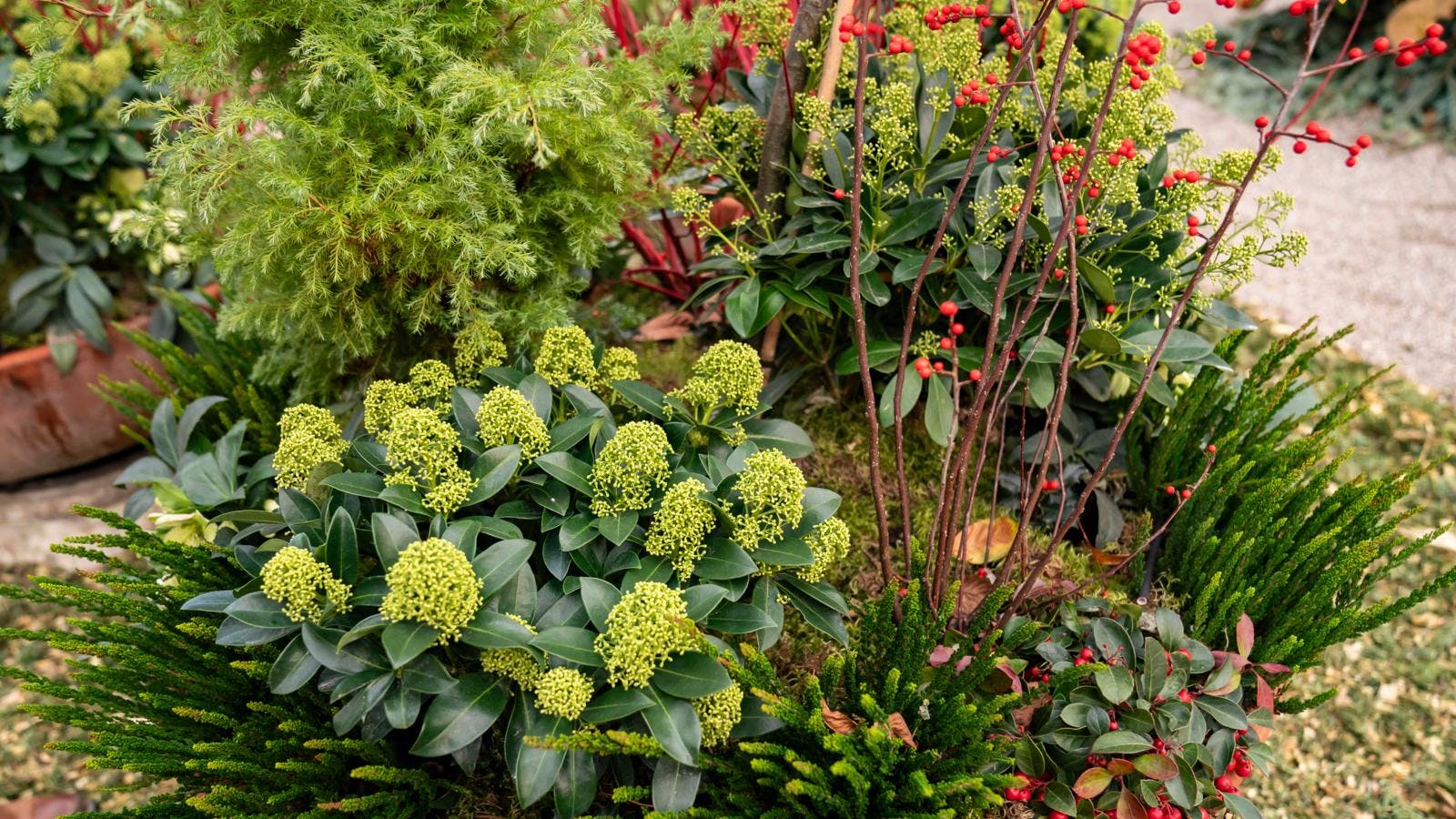 Grønne tips fra Tivoli