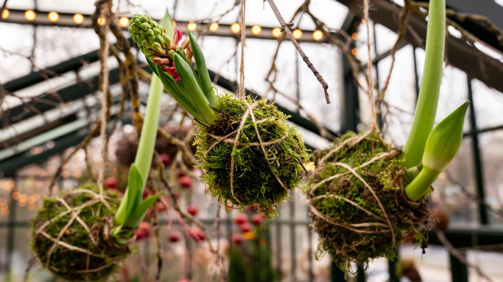 Grønne tips fra Tivoli