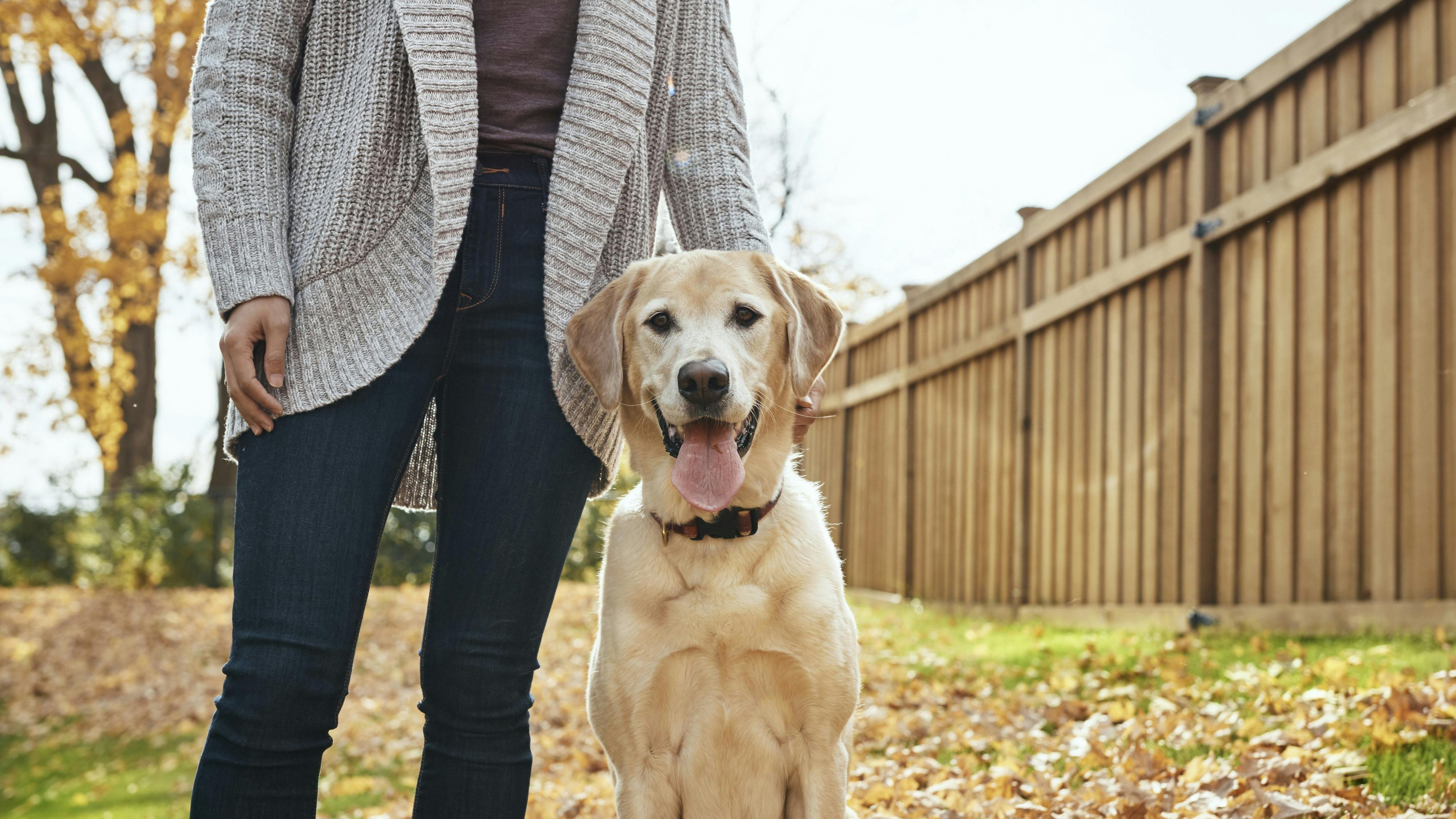 Kvinde med golden retriever