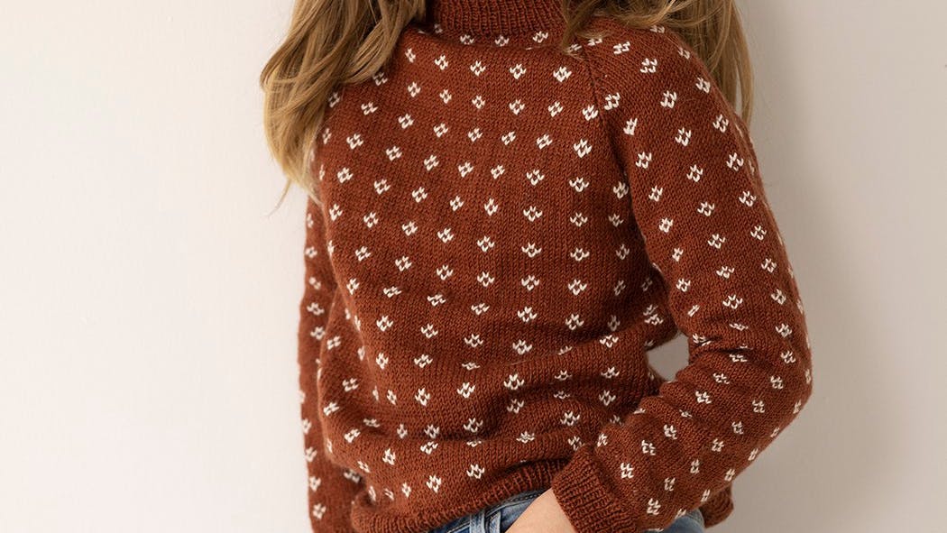 Sweater i flerfarvestrik
