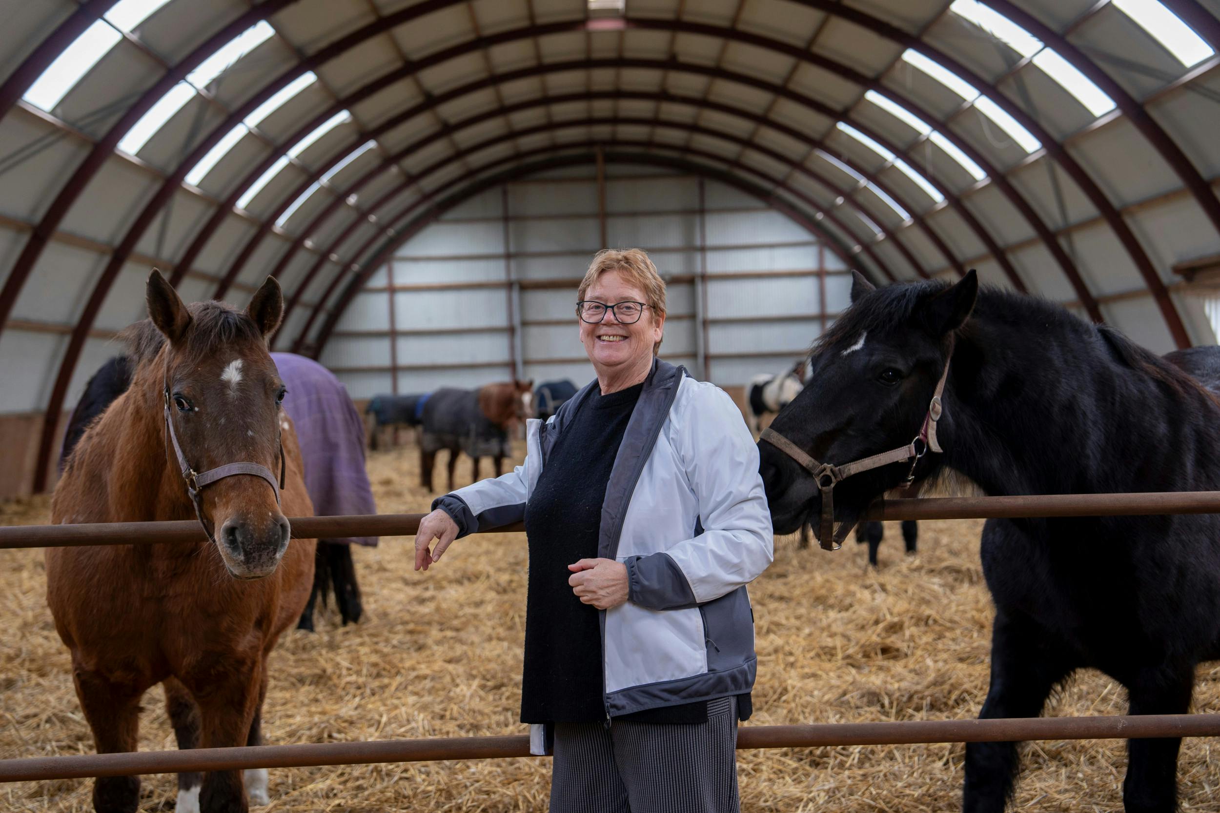 Lige nu går 115 heste rundt på internatet i Morud. Her nyder de livet med masser af foder ad libitum og vand.
