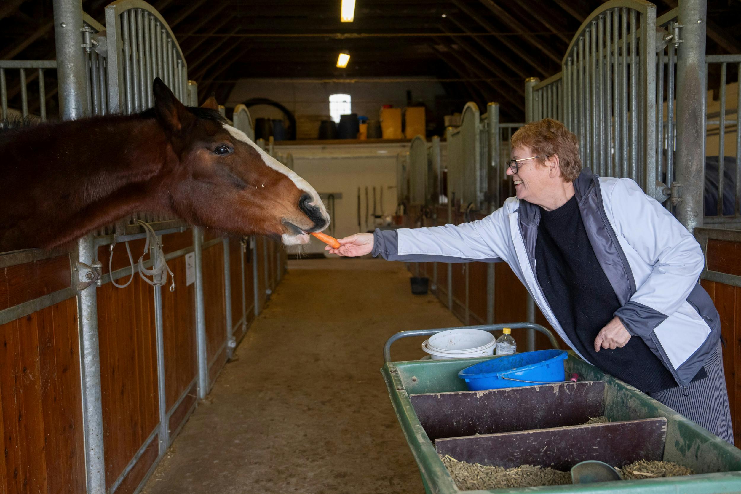 Alle heste skal fodres, særligt de, der er ankommet alt for tynde, kræver ekstra, og så skal der muges ud i staldene. Hver dag.