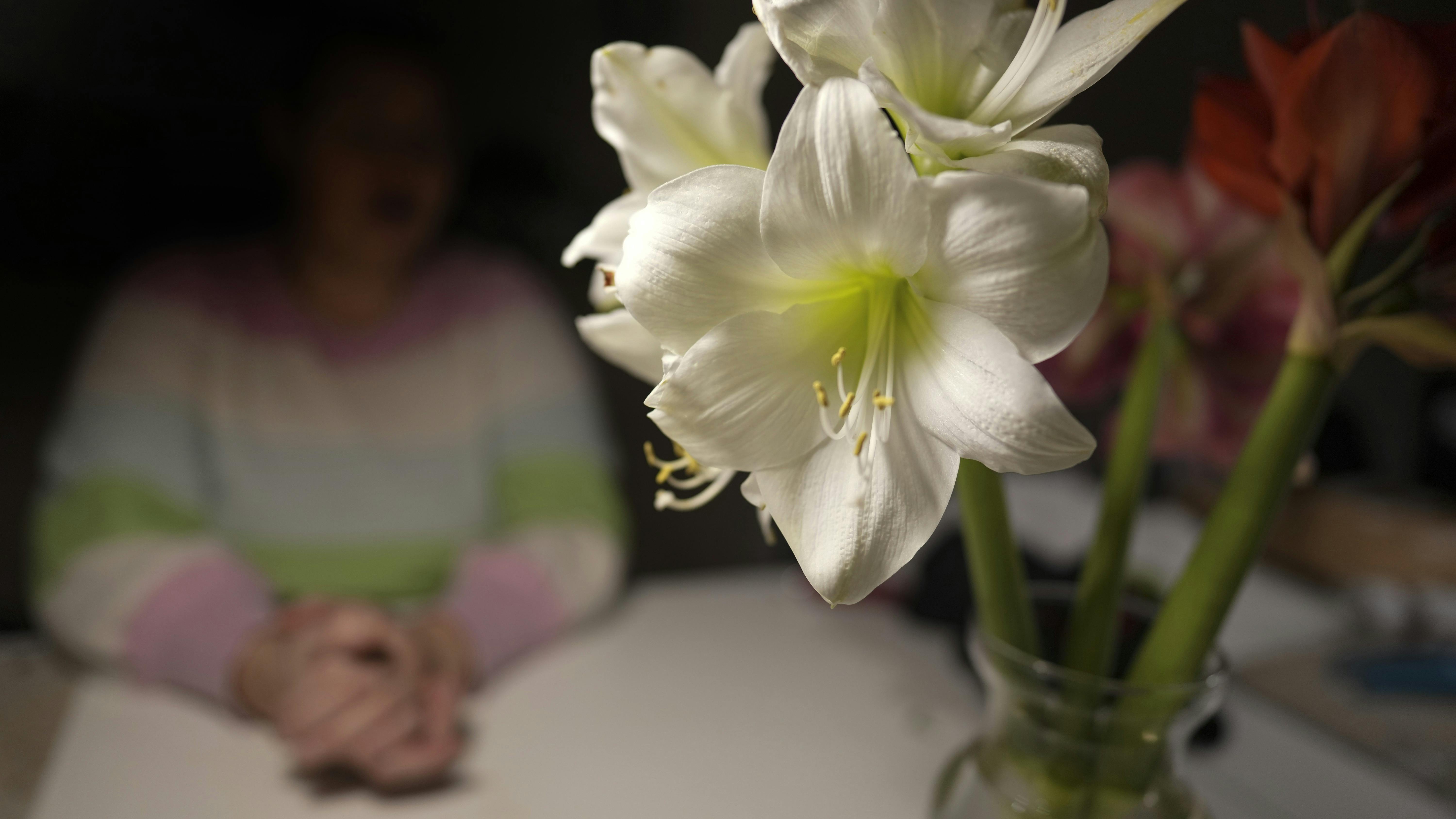 Blomster i forgrunden. Bagved anes en anonym person.