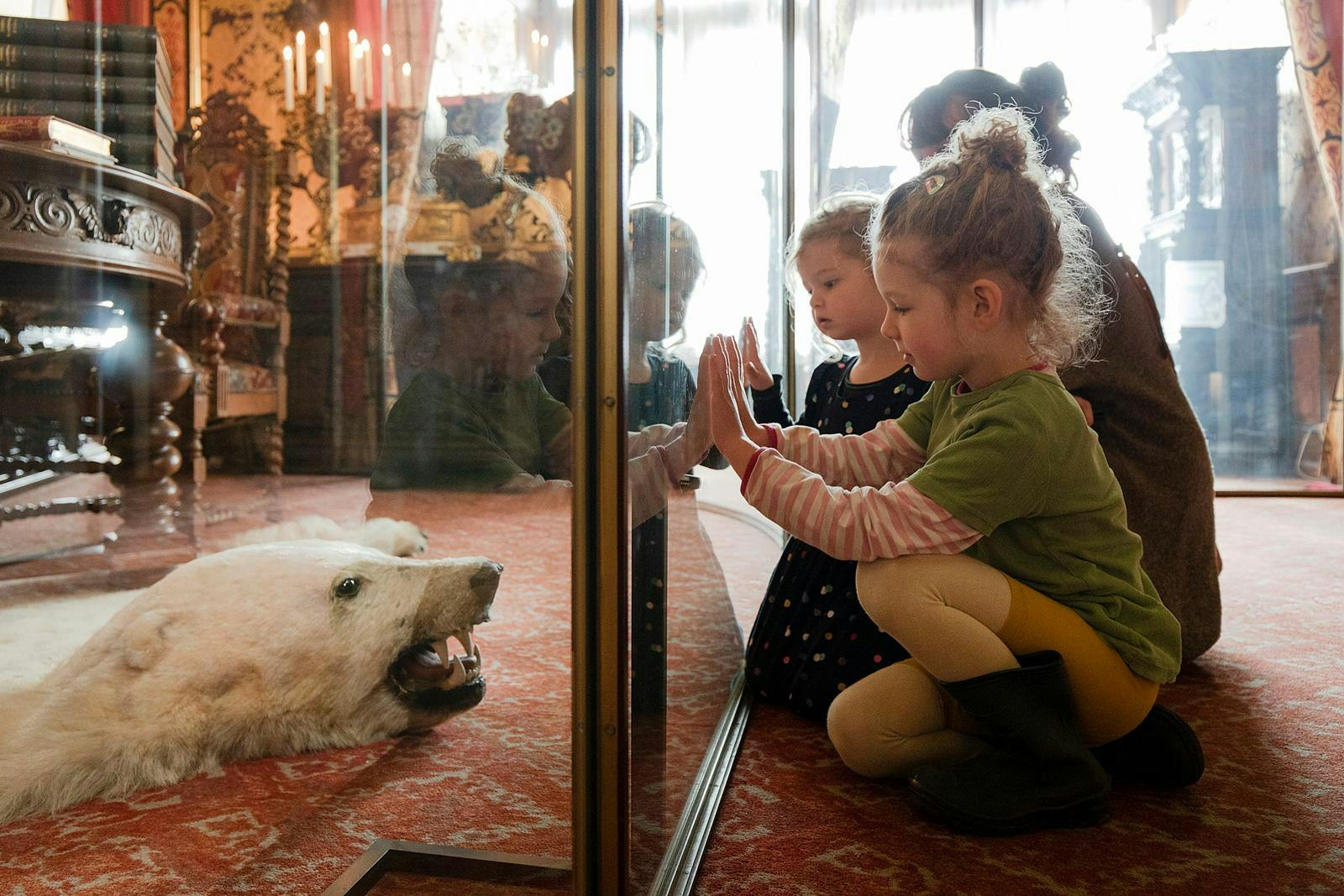 Børn, der kigger på et isbjørneskind gennem en glasmontre.