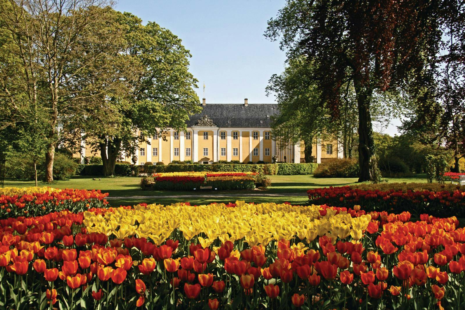 Gavnø slot med tulipaner