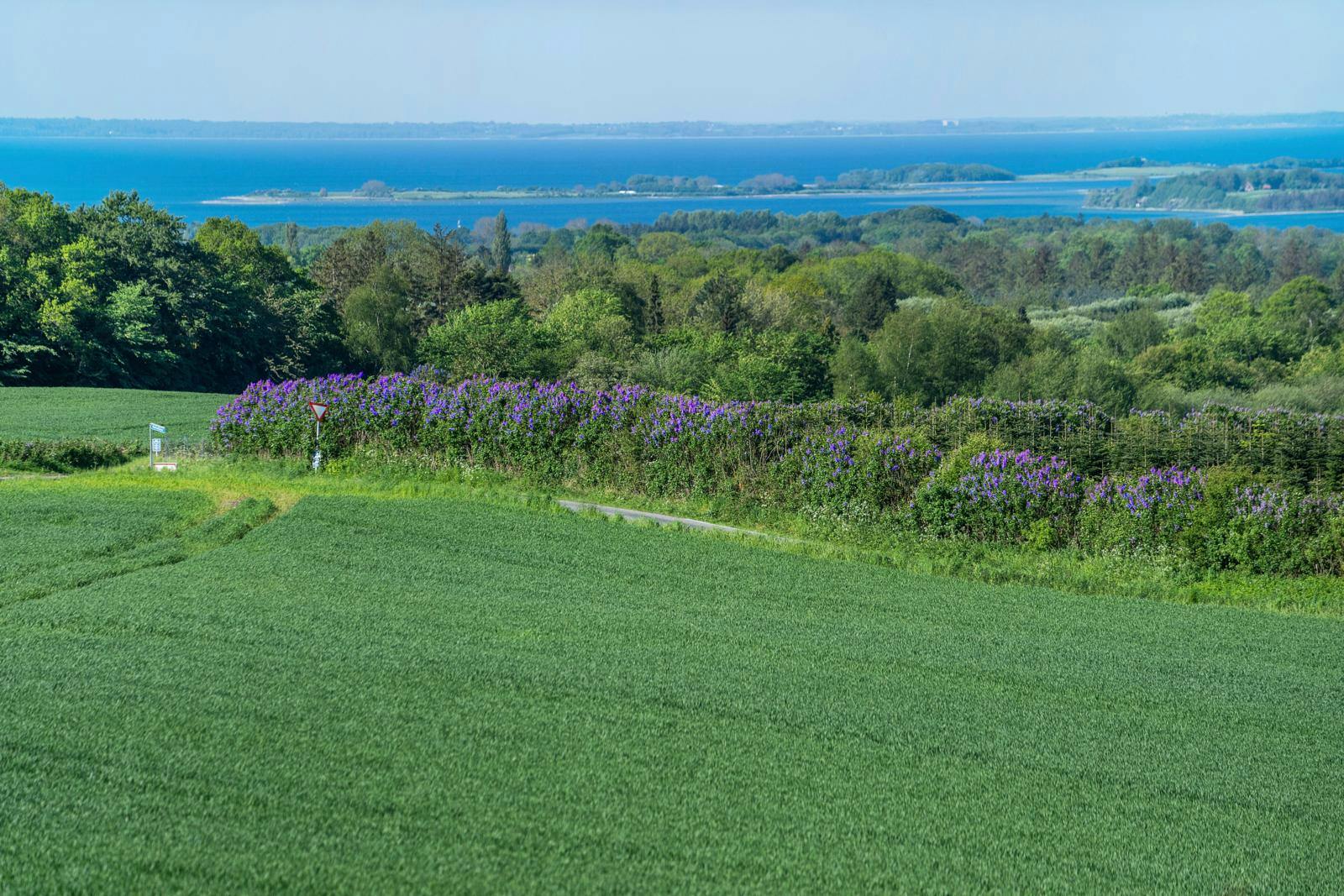 Syrenruten på Sydfyn