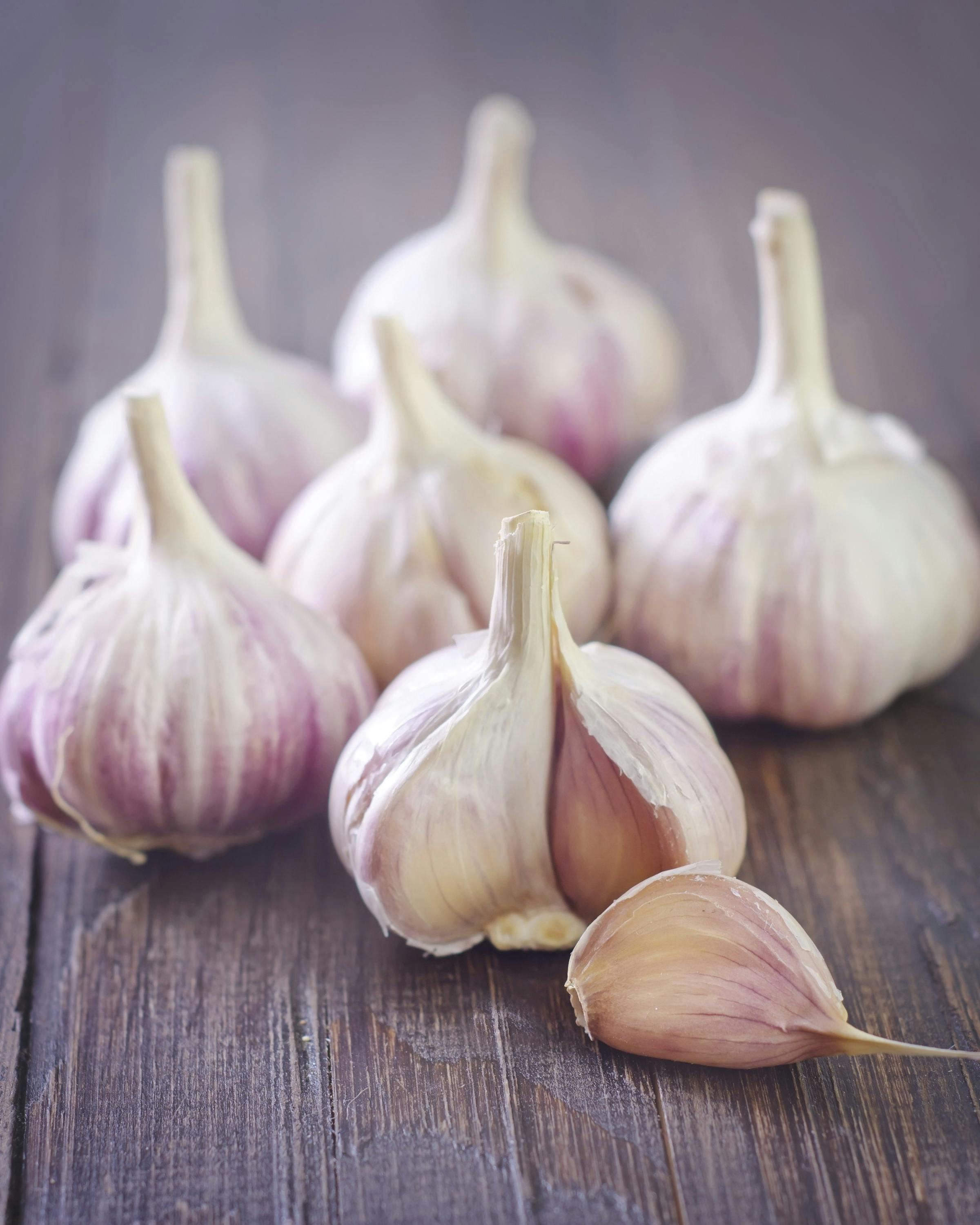 Hvidløg